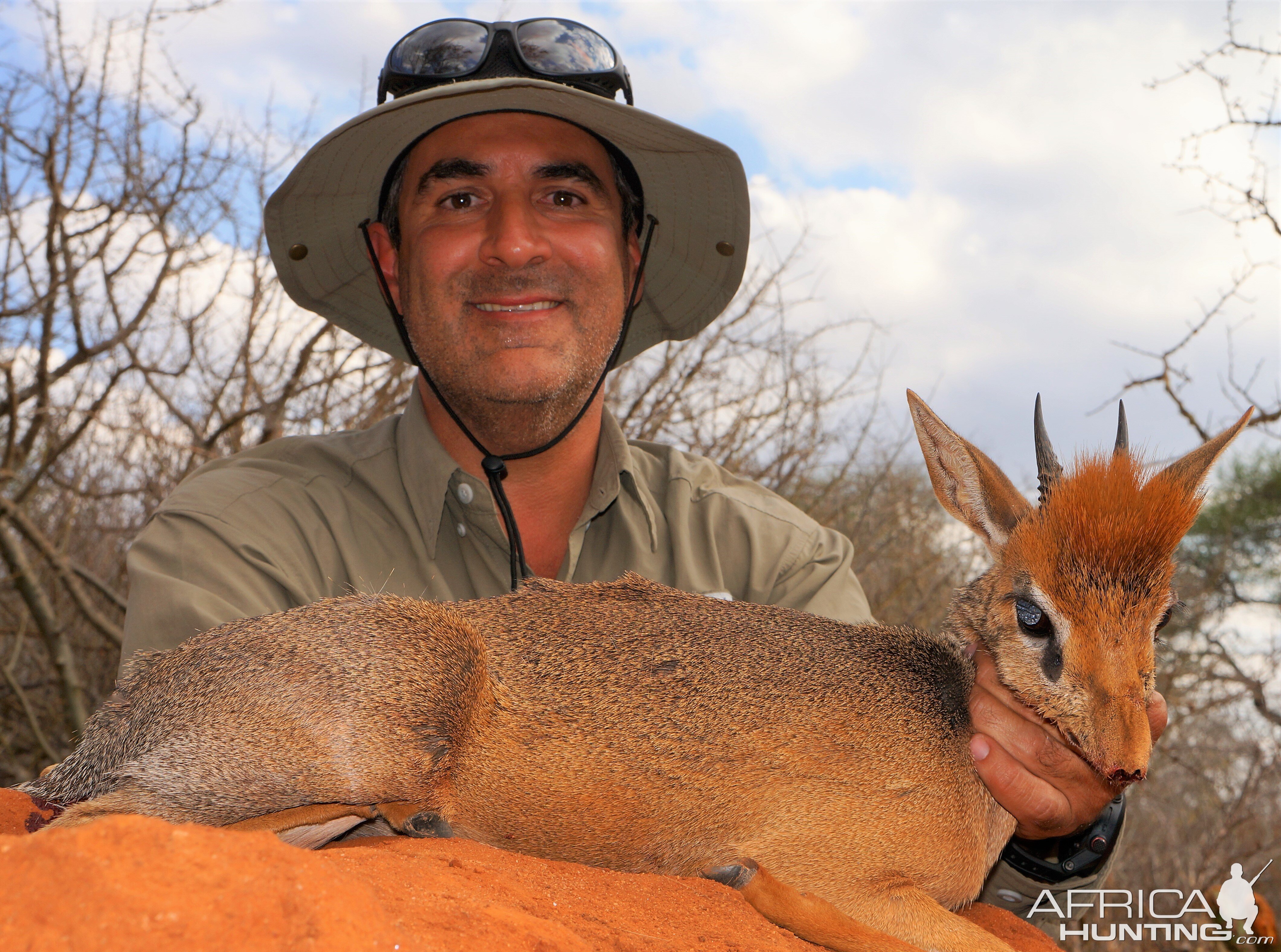 Damara Dik Dik Hunt