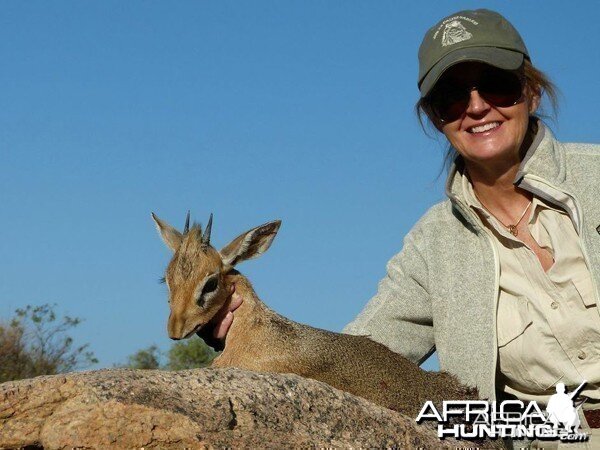 Damara Dik-Dik hunted at Westfalen Hunting Safaris Namibia