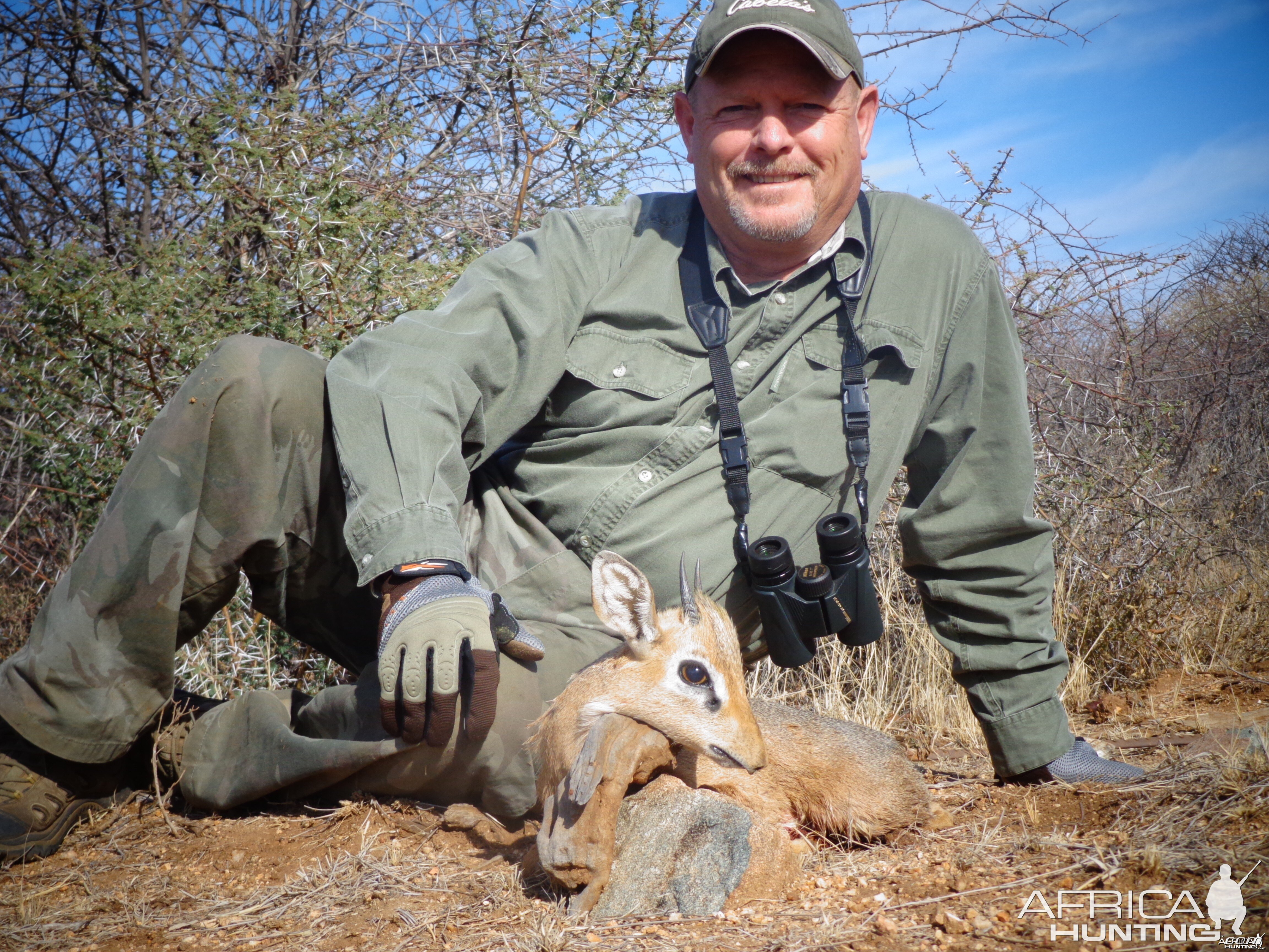 Damara Dik-Dik hunted with Ozondjahe Hunting Safaris in Namibia