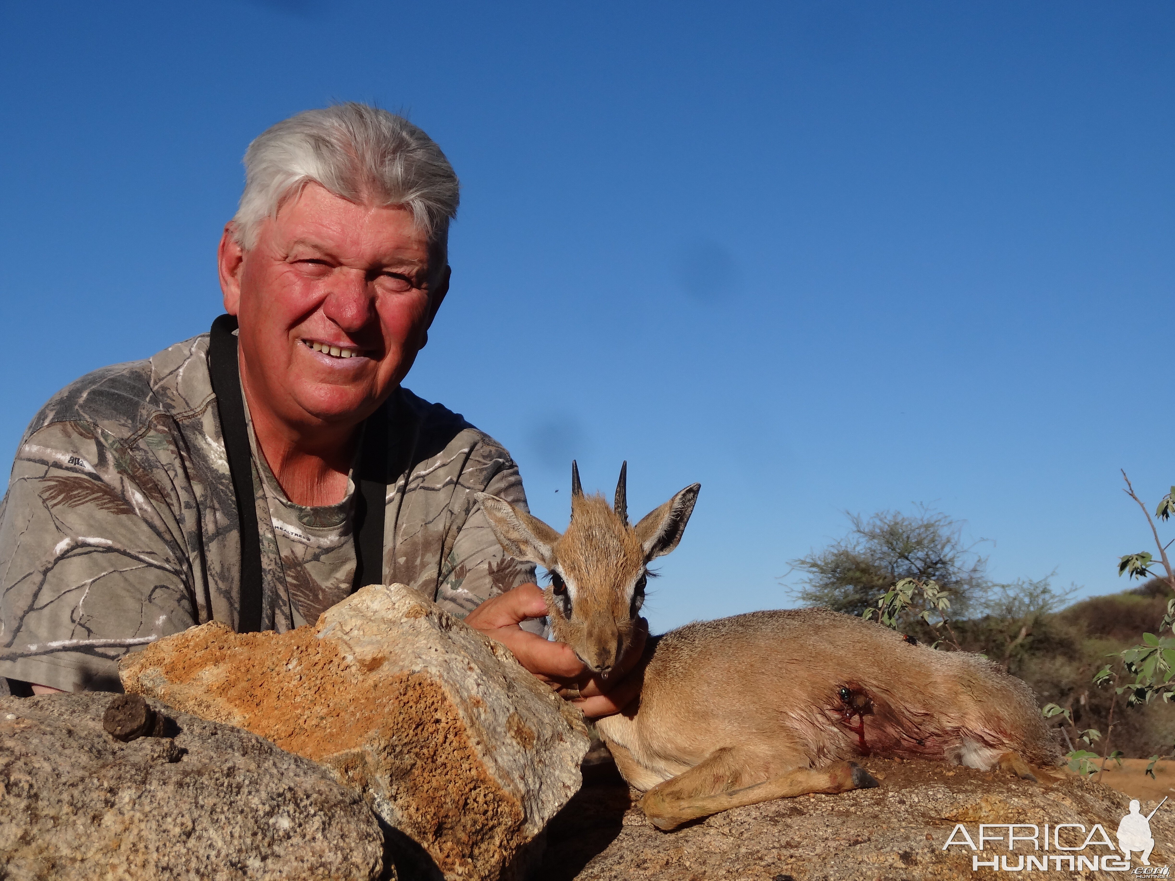 Damara Dik-Dik hunted with Ozondjahe Hunting Safaris in Namibia