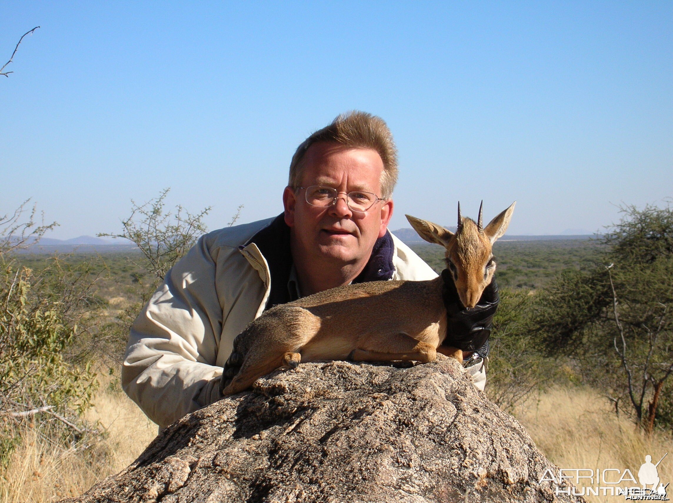 Damara Dik Dik Hunting in Namibia