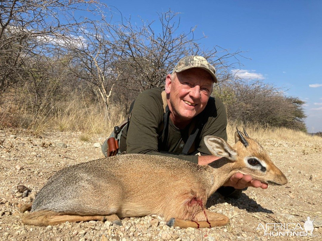 Damara Dik-Dik Hunting Namibia