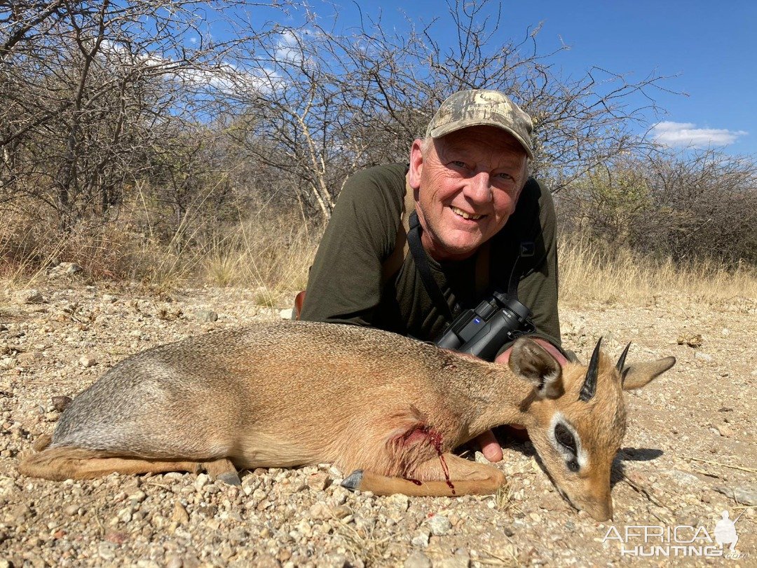 Damara Dik-Dik Hunting Namibia