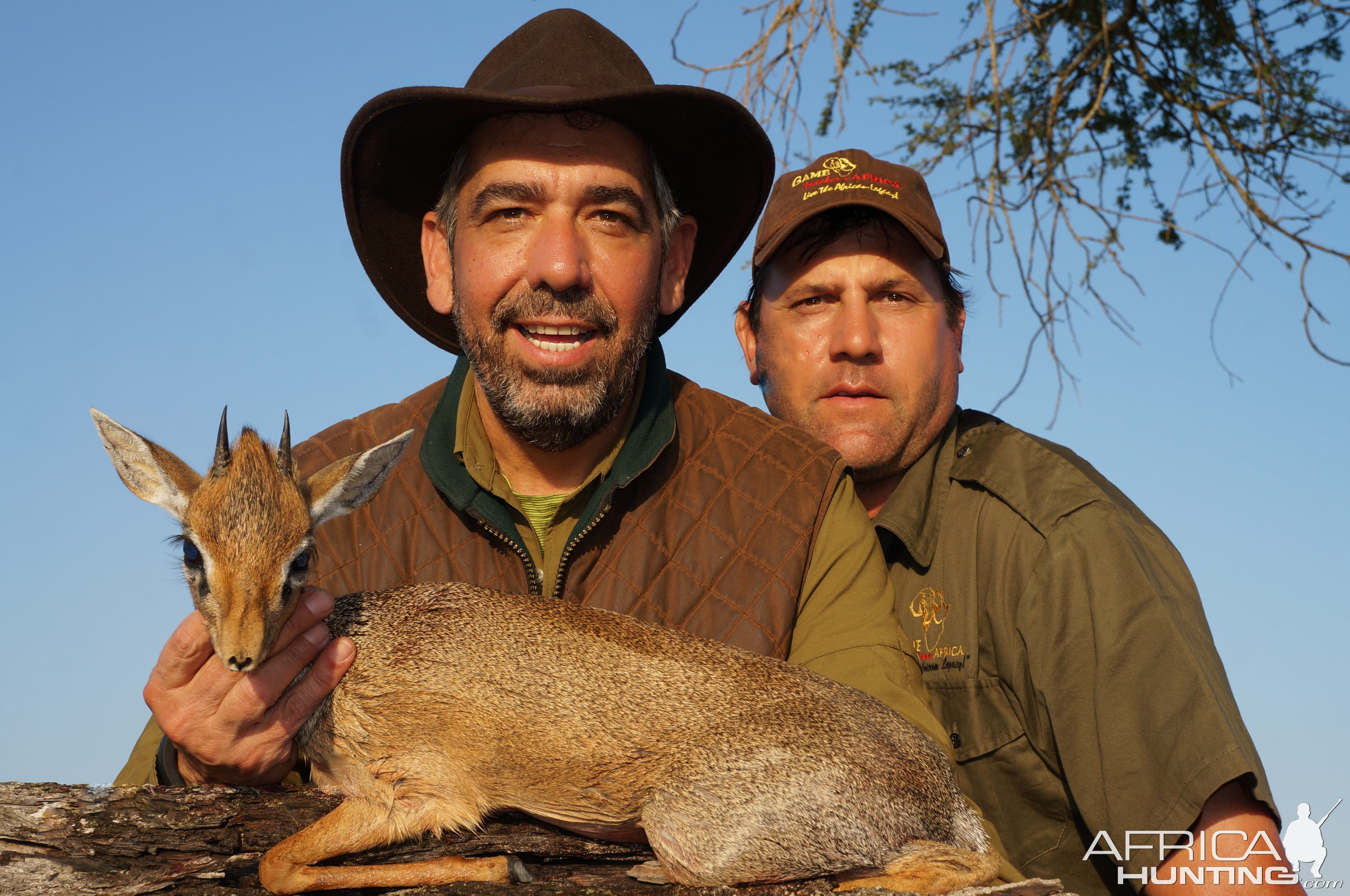 Damara Dik Dik Hunting