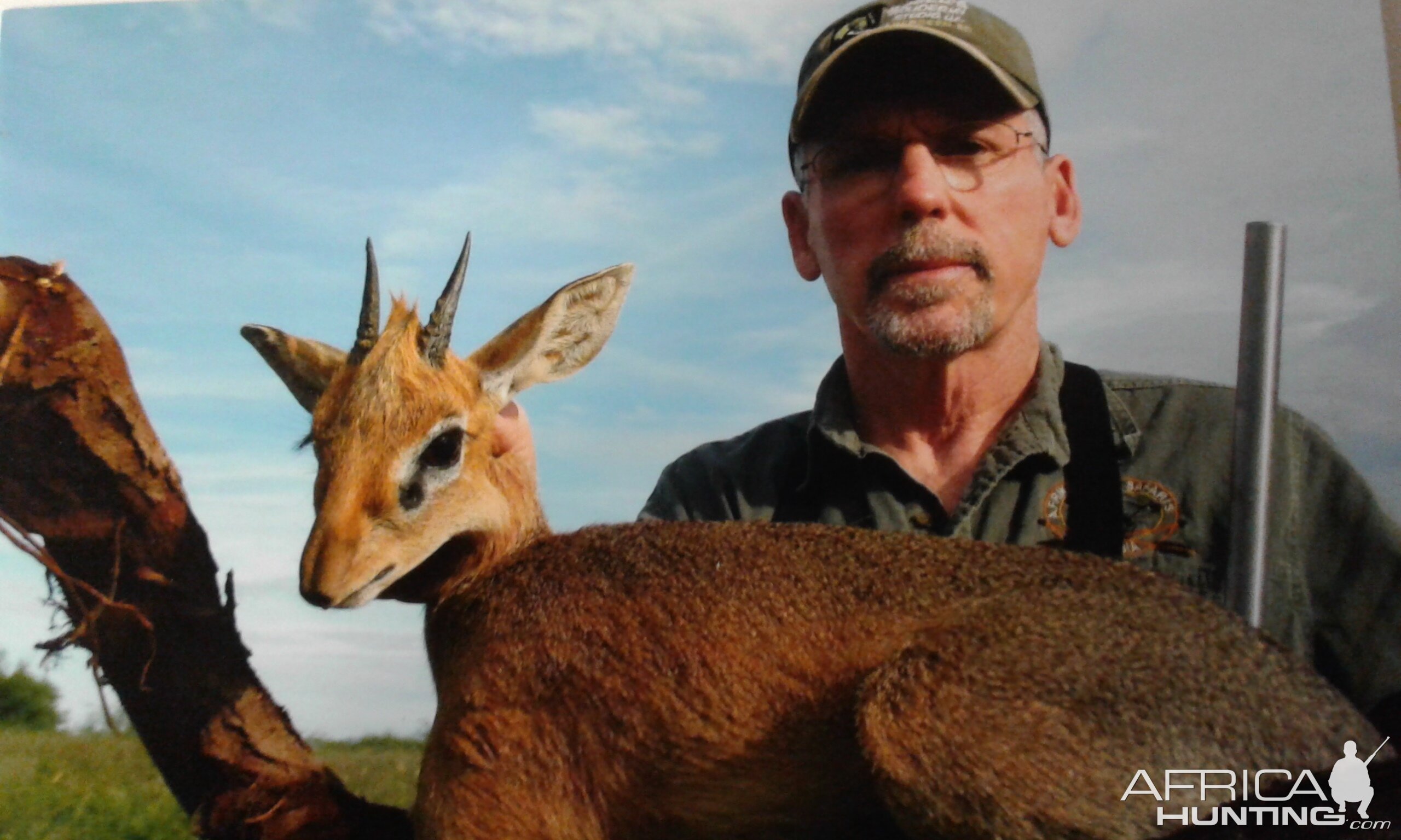 Damara Dik Dik Namibia Hunt