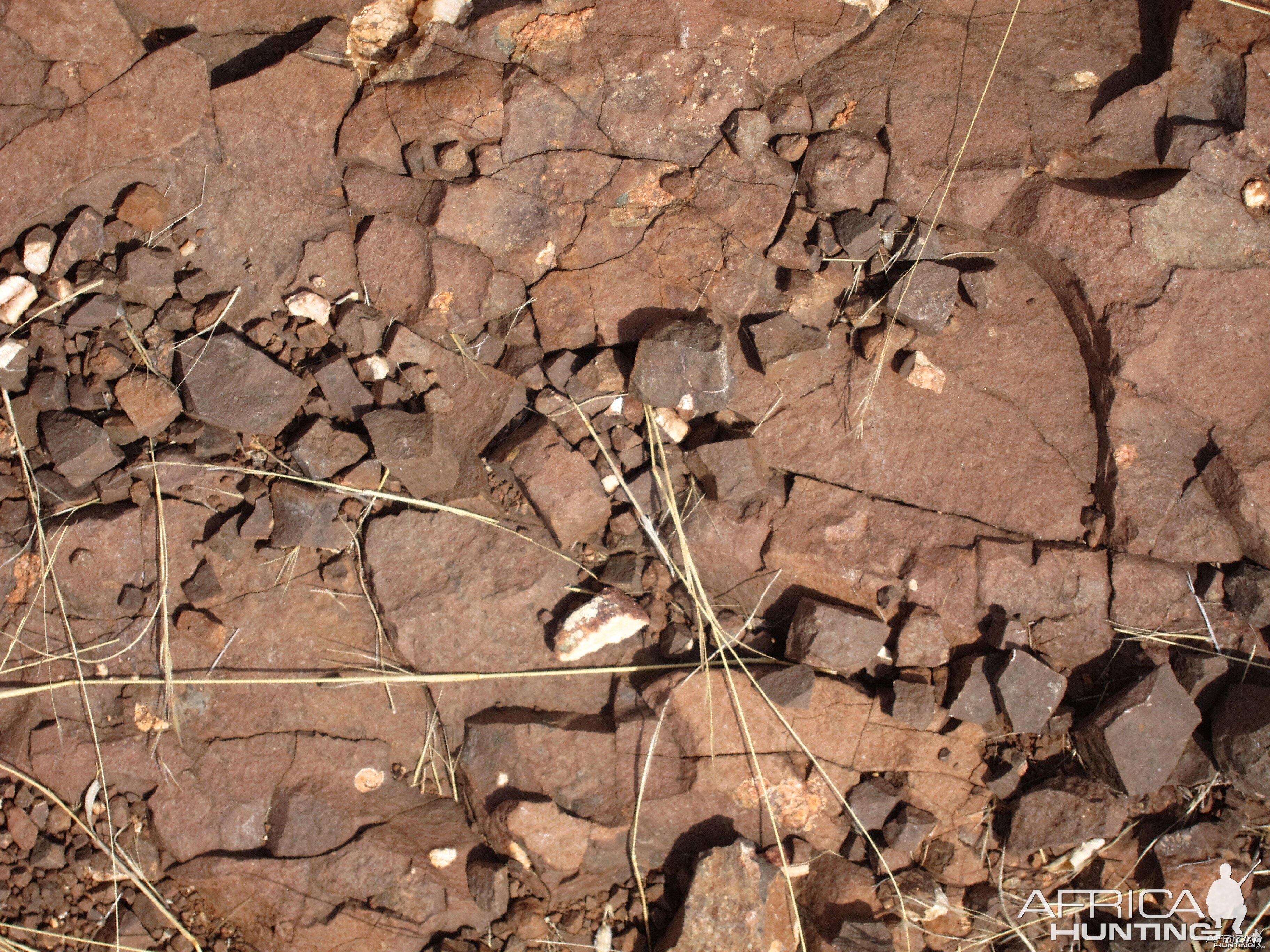 Damaraland Namibia