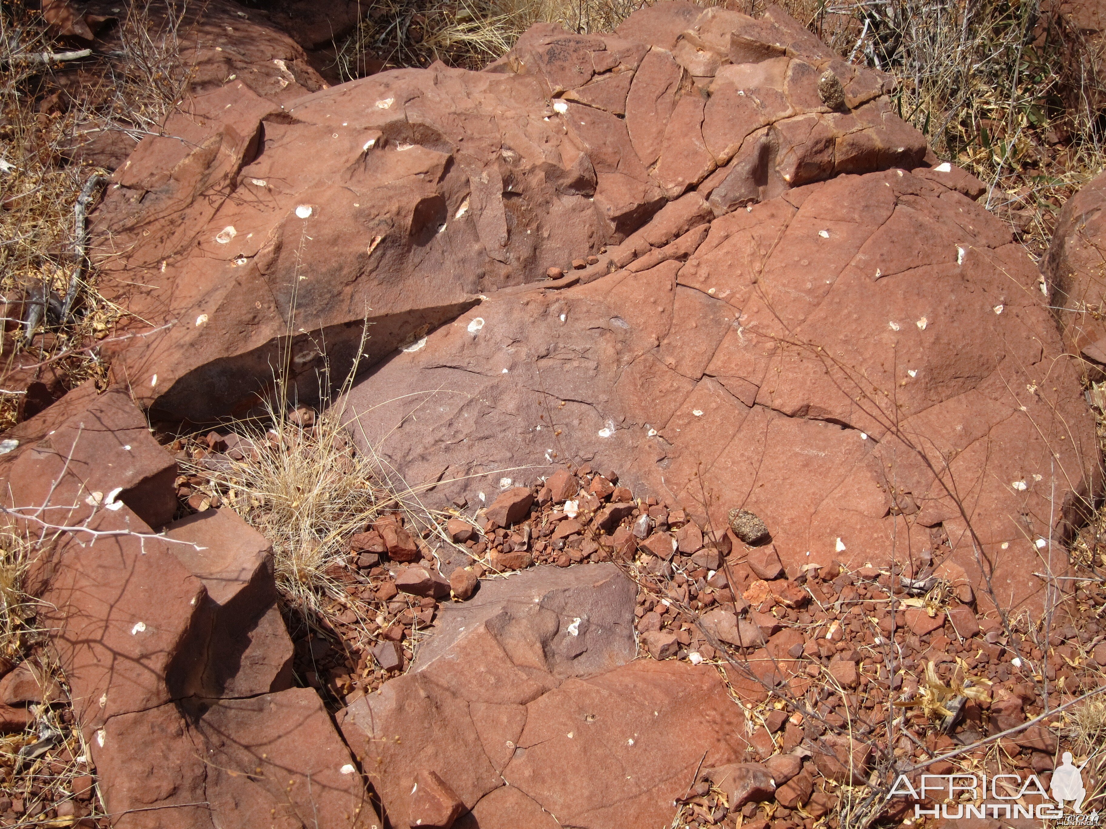 Damaraland Namibia