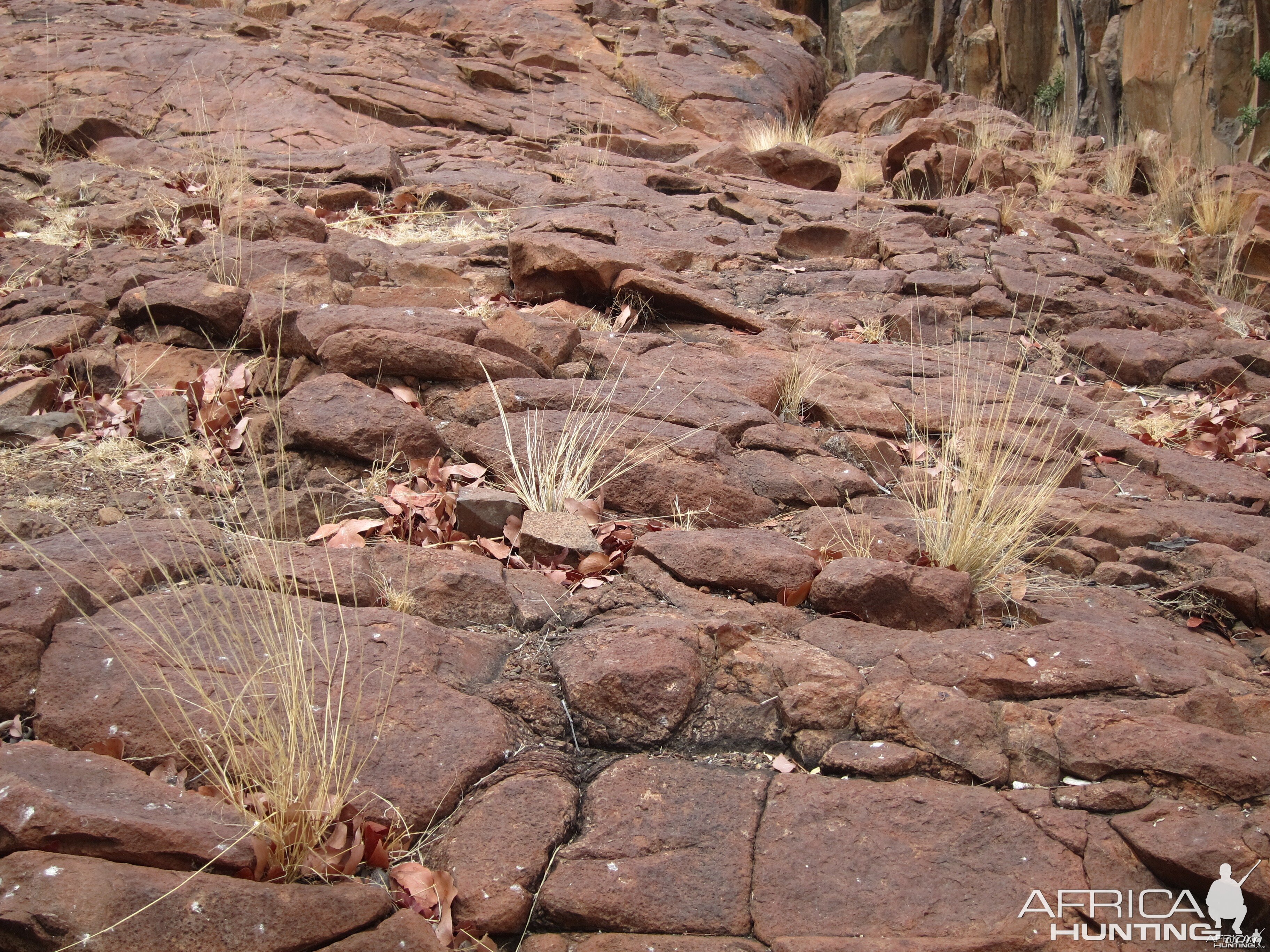 Damaraland Namibia