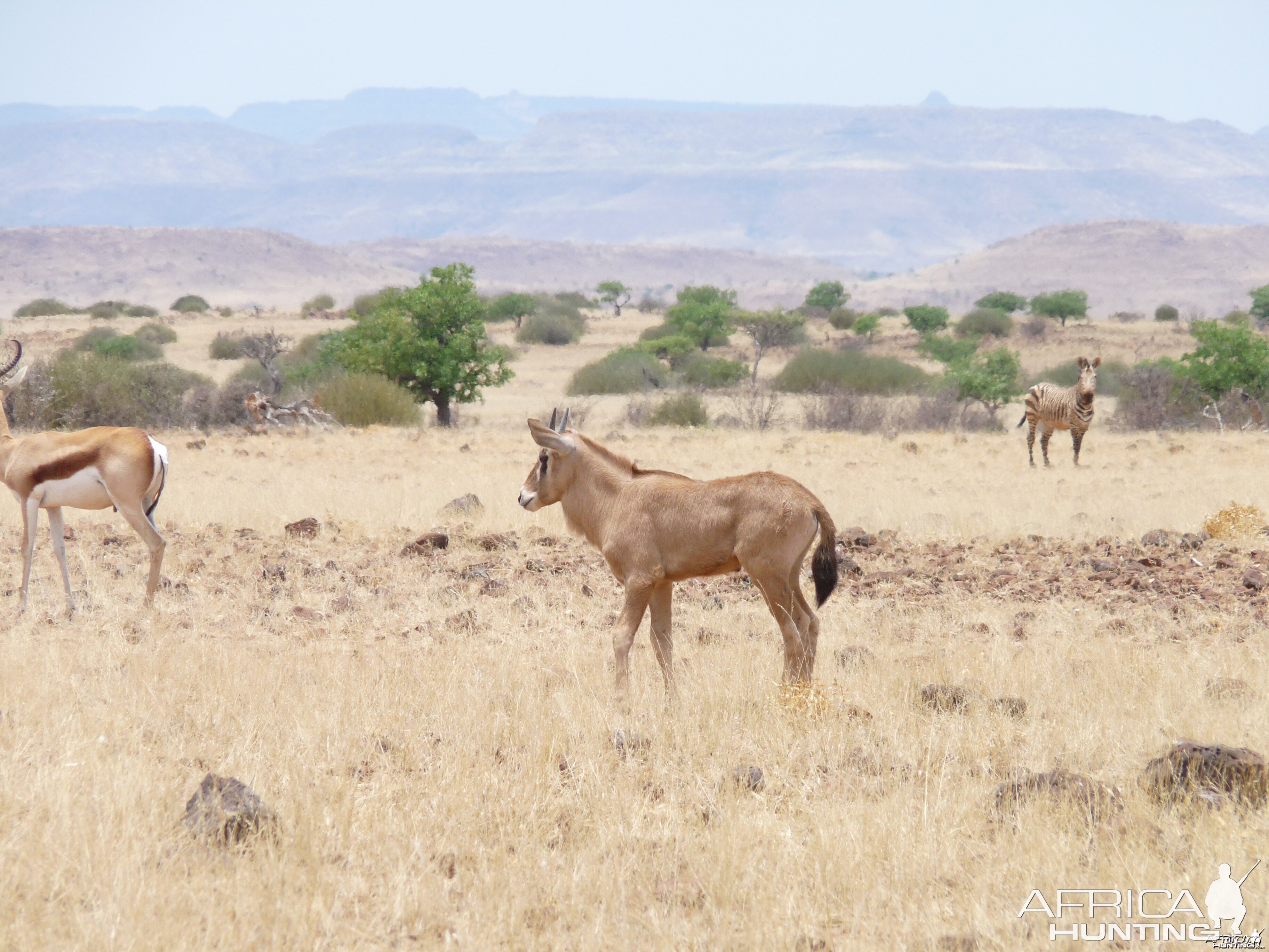 Damaraland Namibia