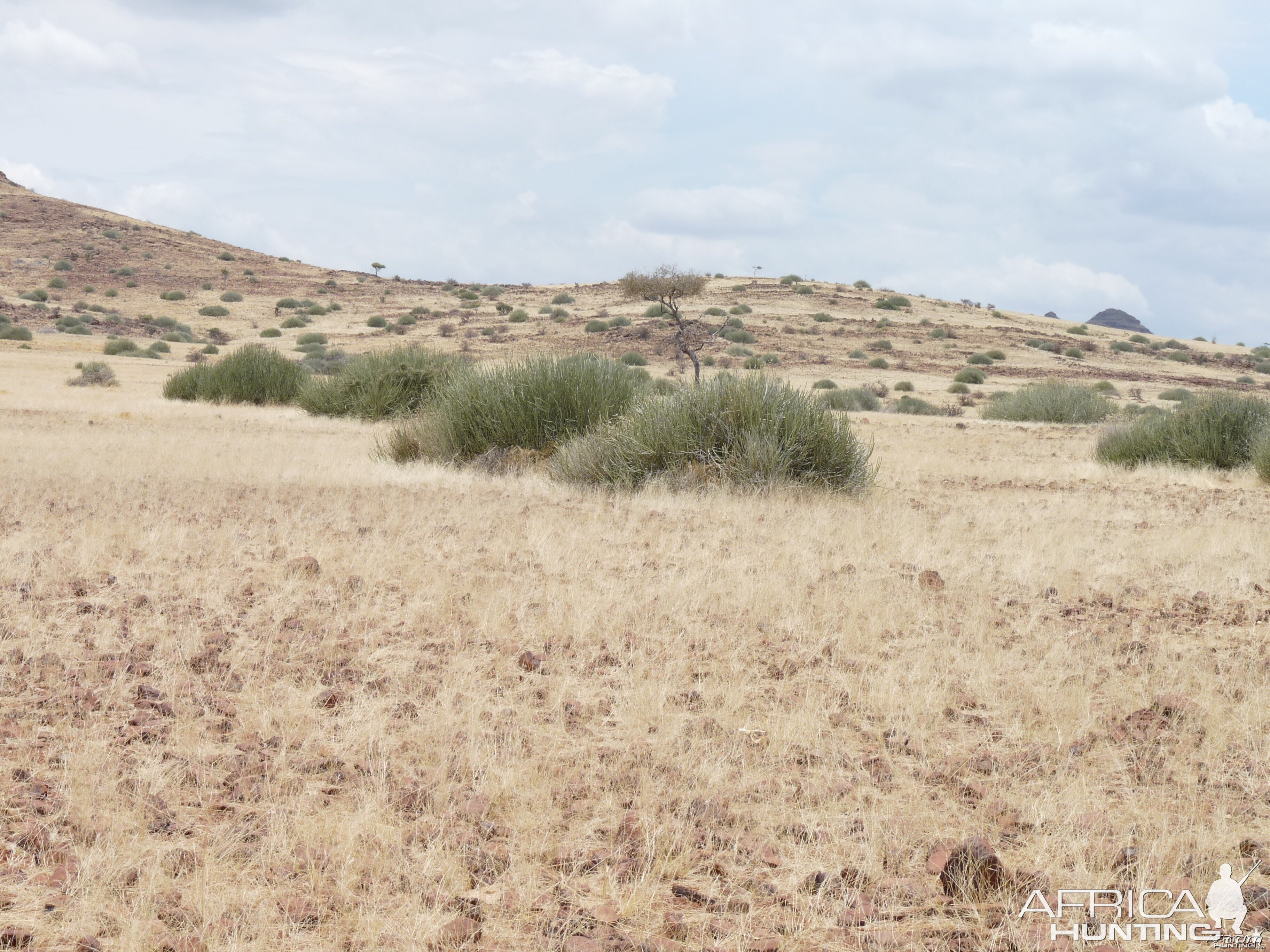 Damaraland Namibia