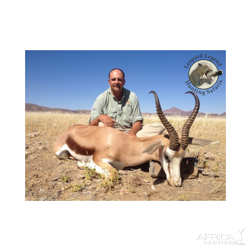 Damaraland Springbuck