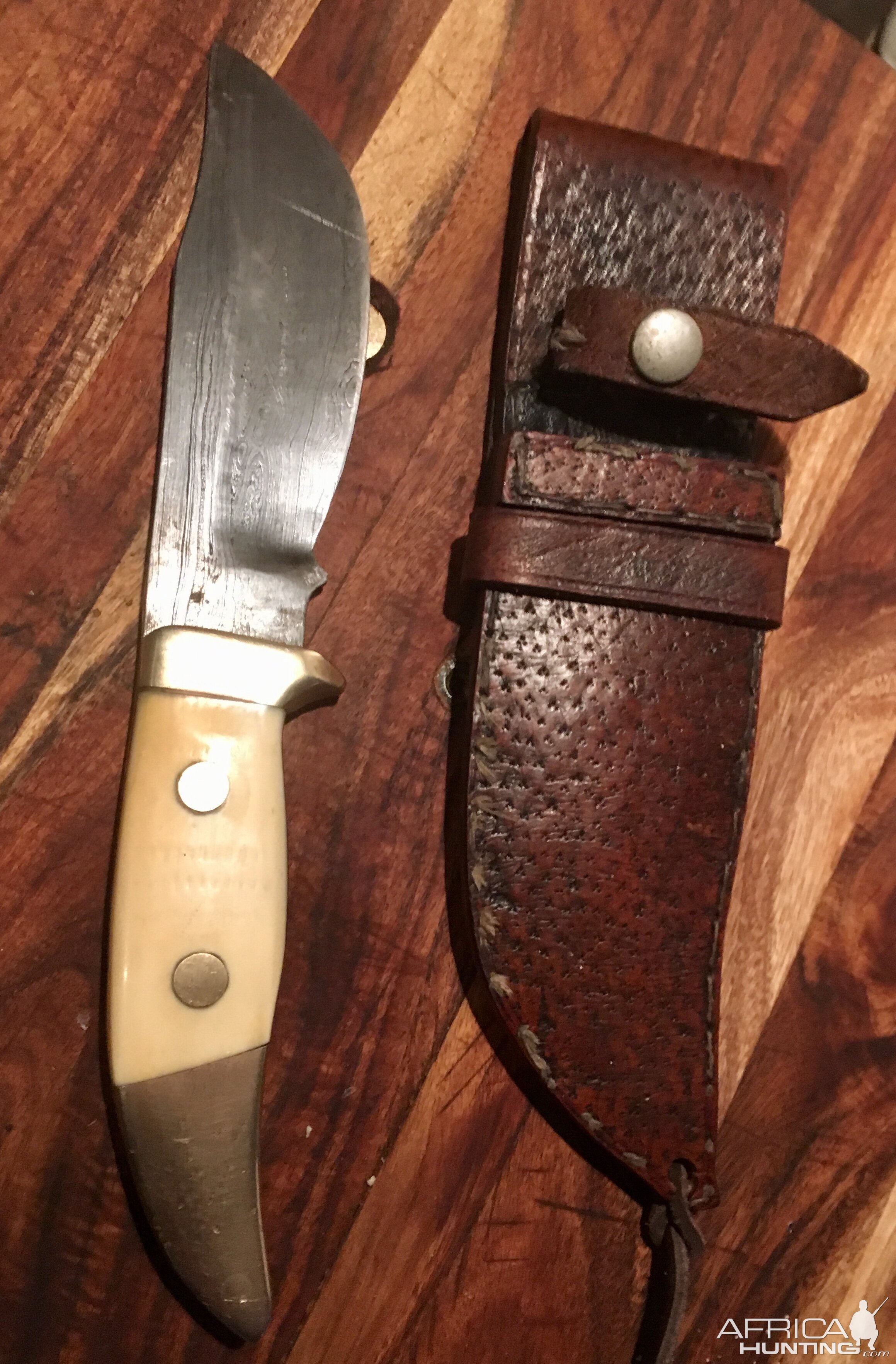 Damascus/Warthog Skinning Knife