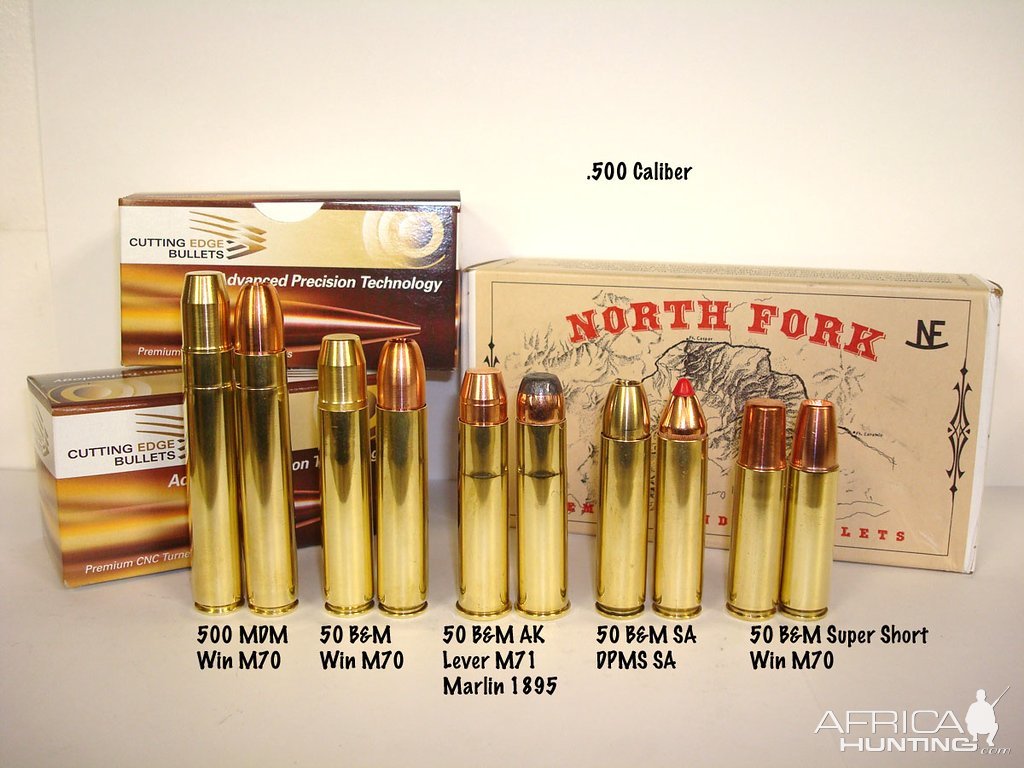 Dangerous Game Hunting Cartridges