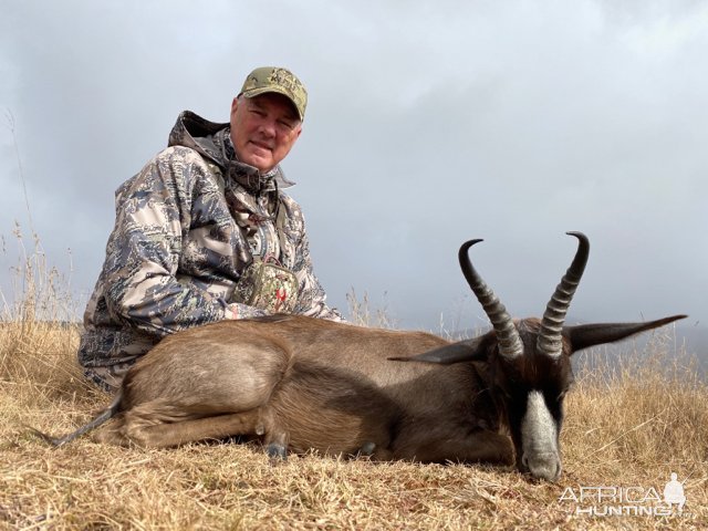 Dark Springbok Hunt South Africa