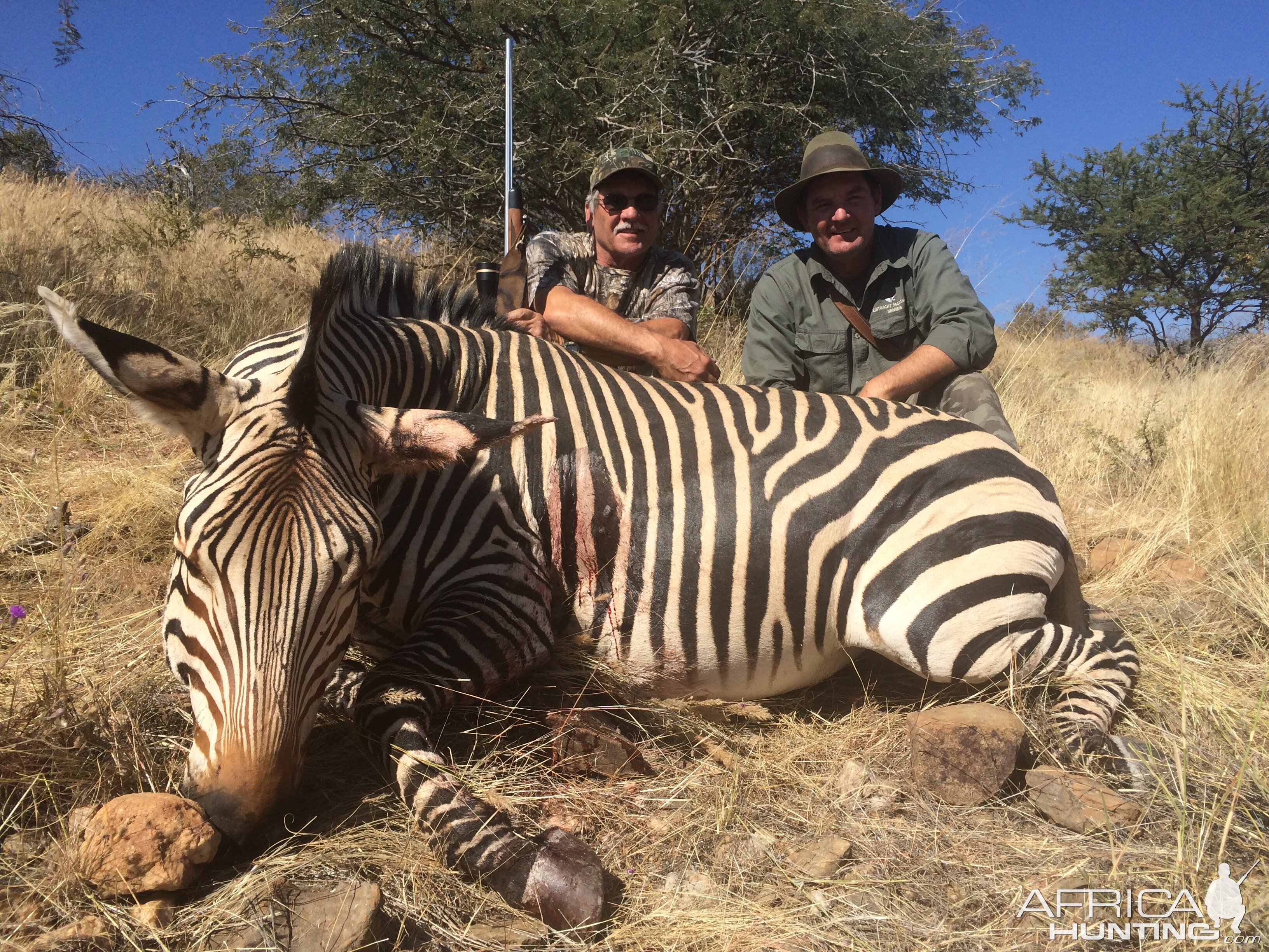 Day 3 Hartmann's Mountain Zebra