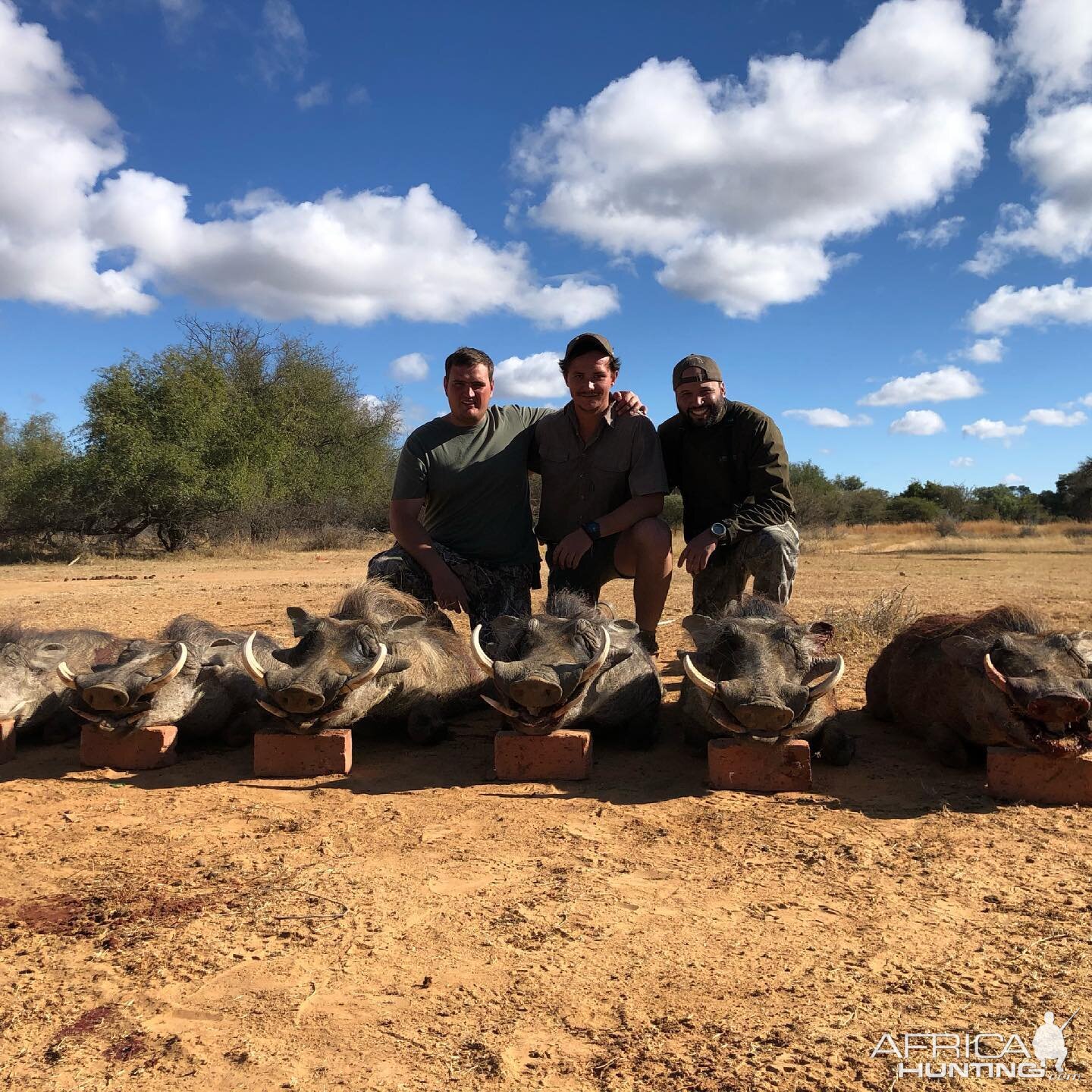 Day 3 Pigs Limpopo South Africa