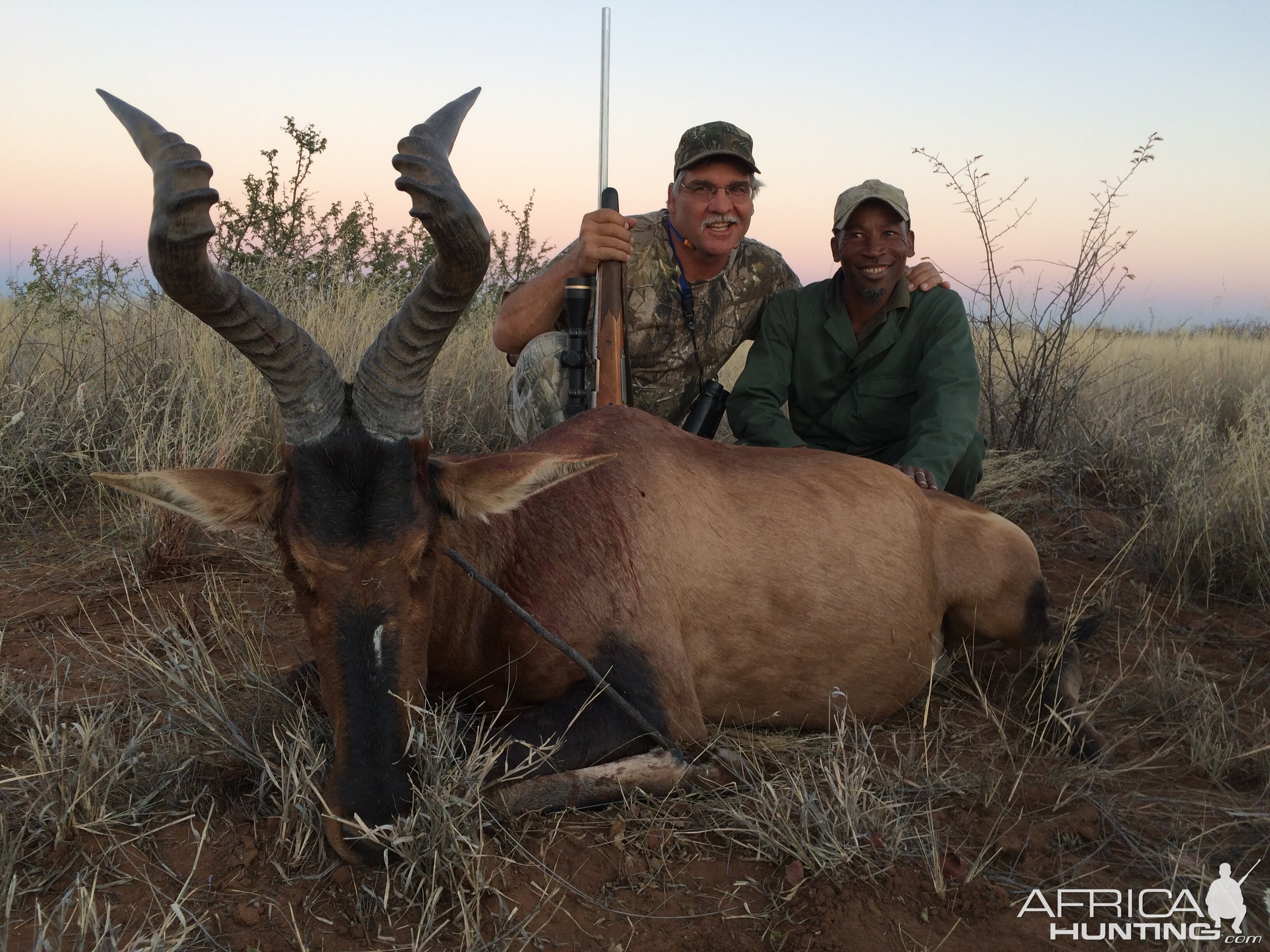 Day 4 Red Hartebeest