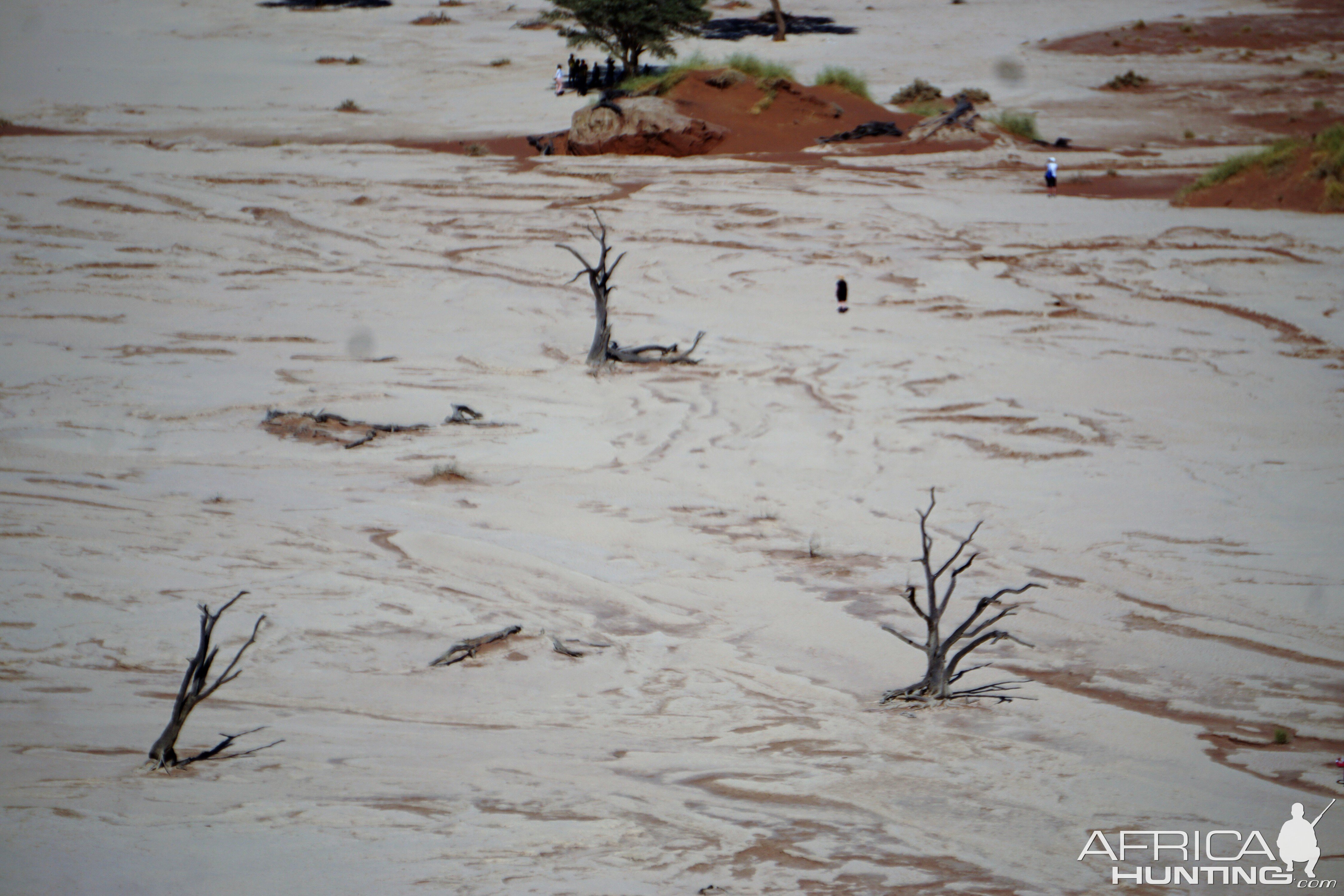 Deadvlei in Namibia