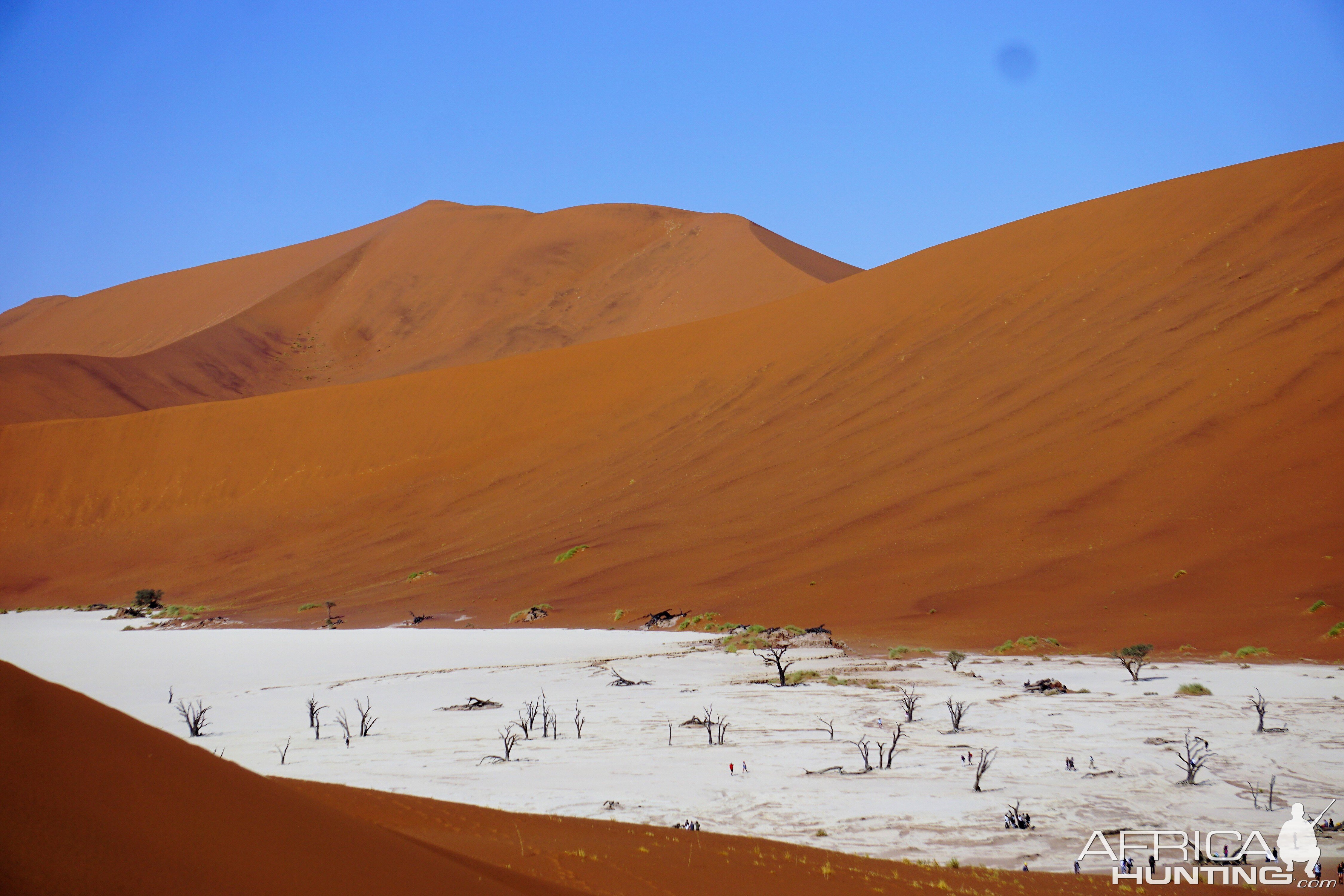 Deadvlei in Namibia