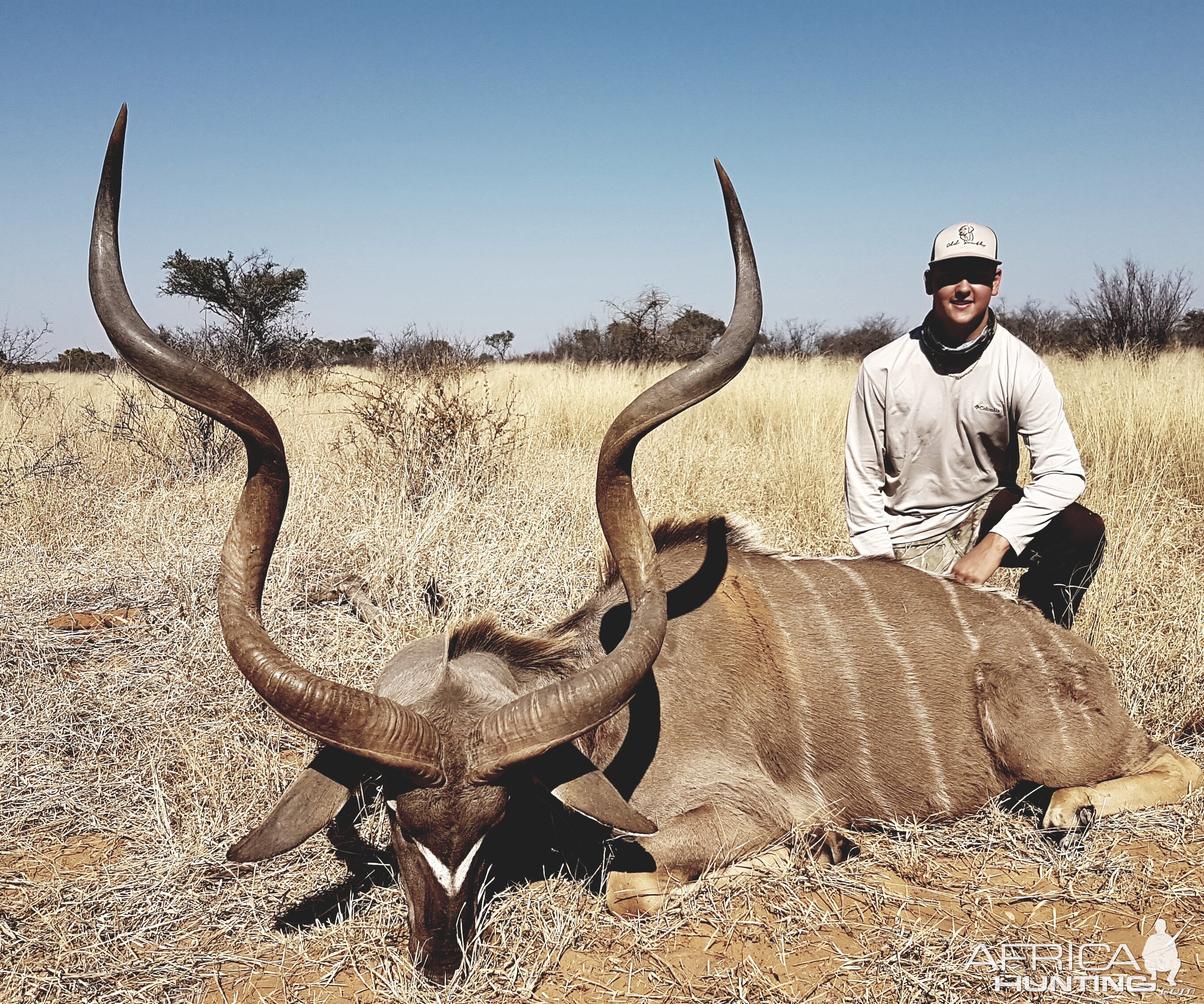 Deep curled Kudu bull