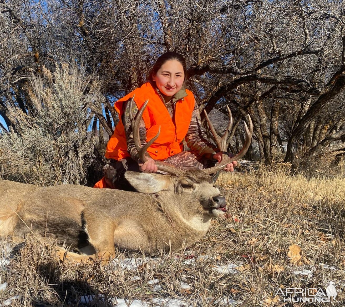 Deer Hunt Colorado