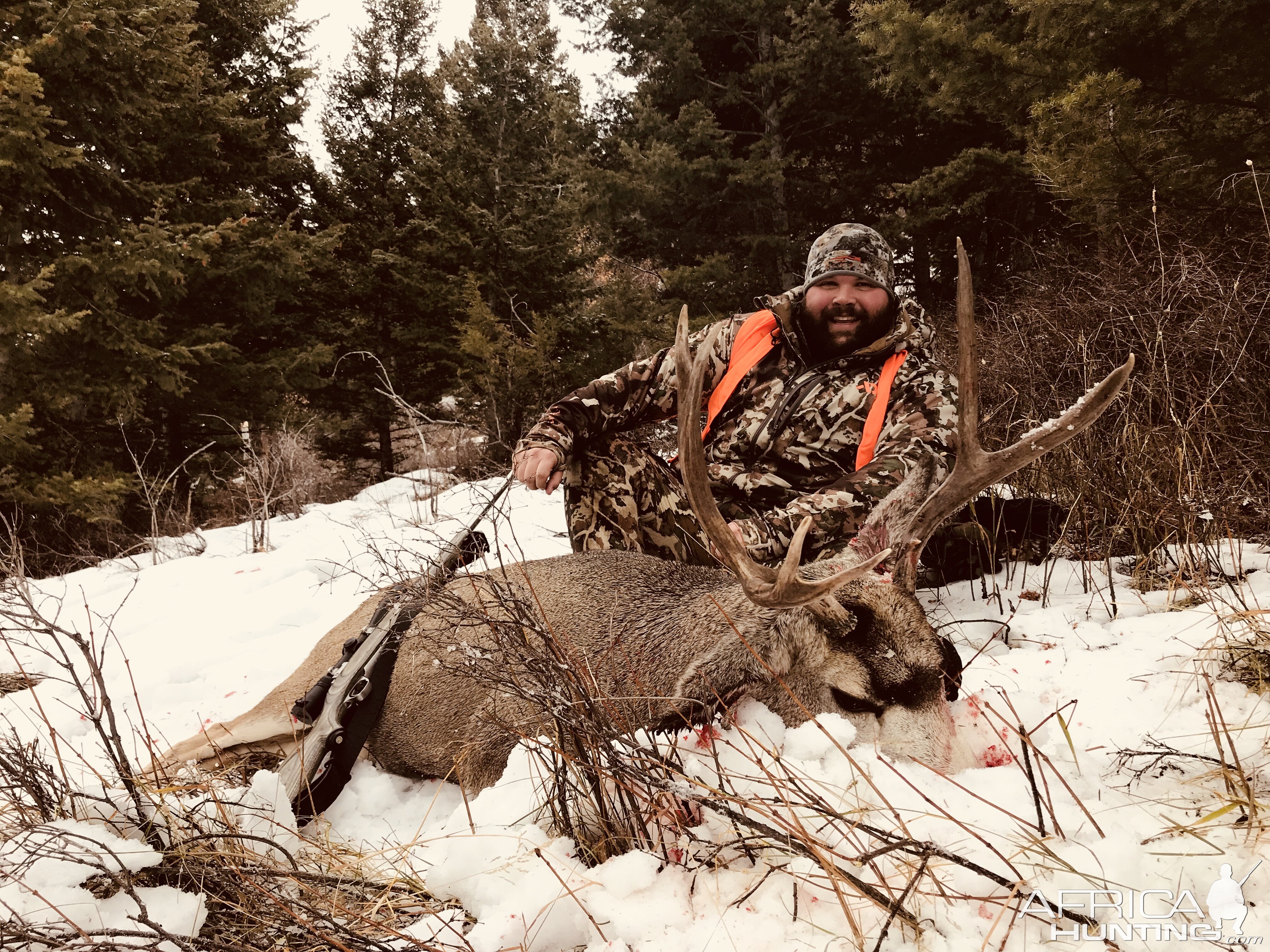 Deer Hunt in Montana