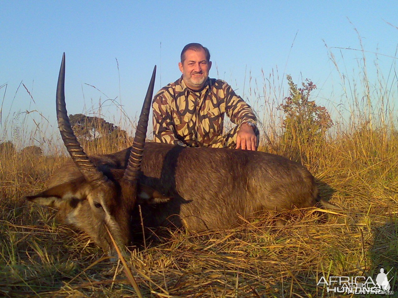 Defassa Waterbuck Zambia