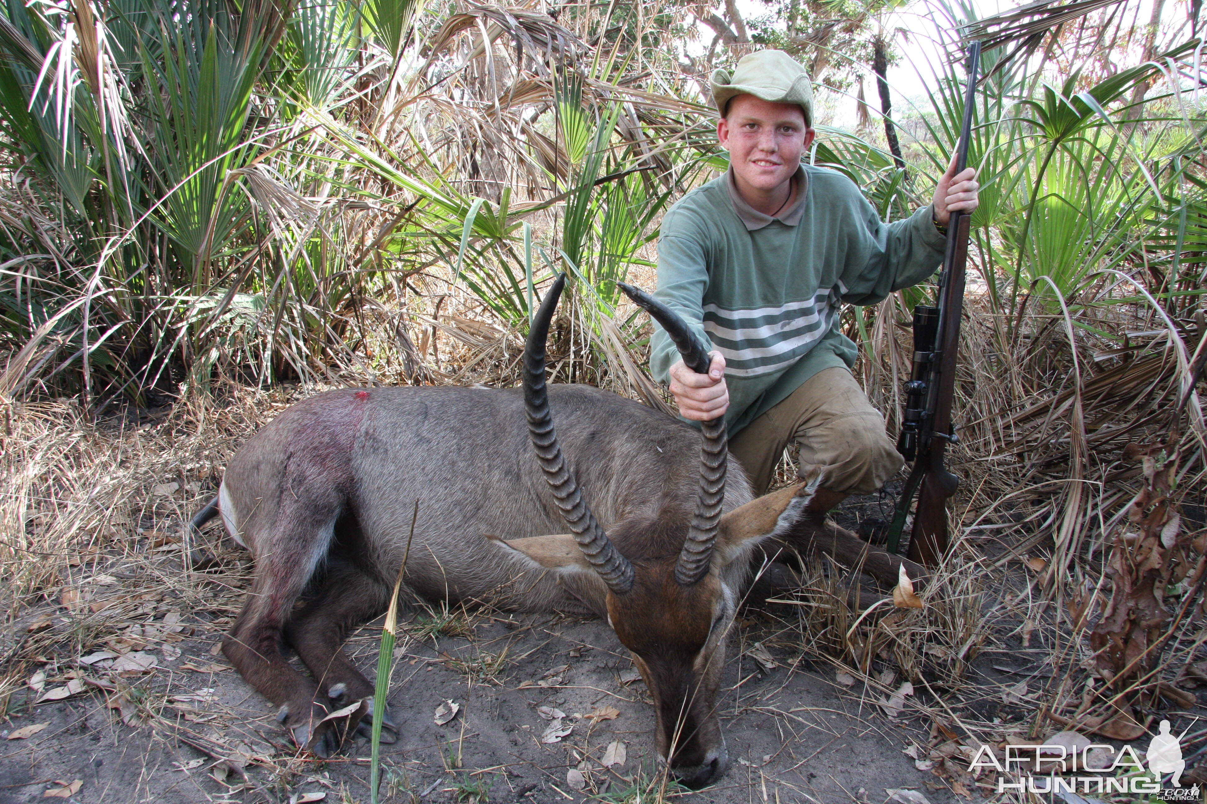 Defassa waterbuck