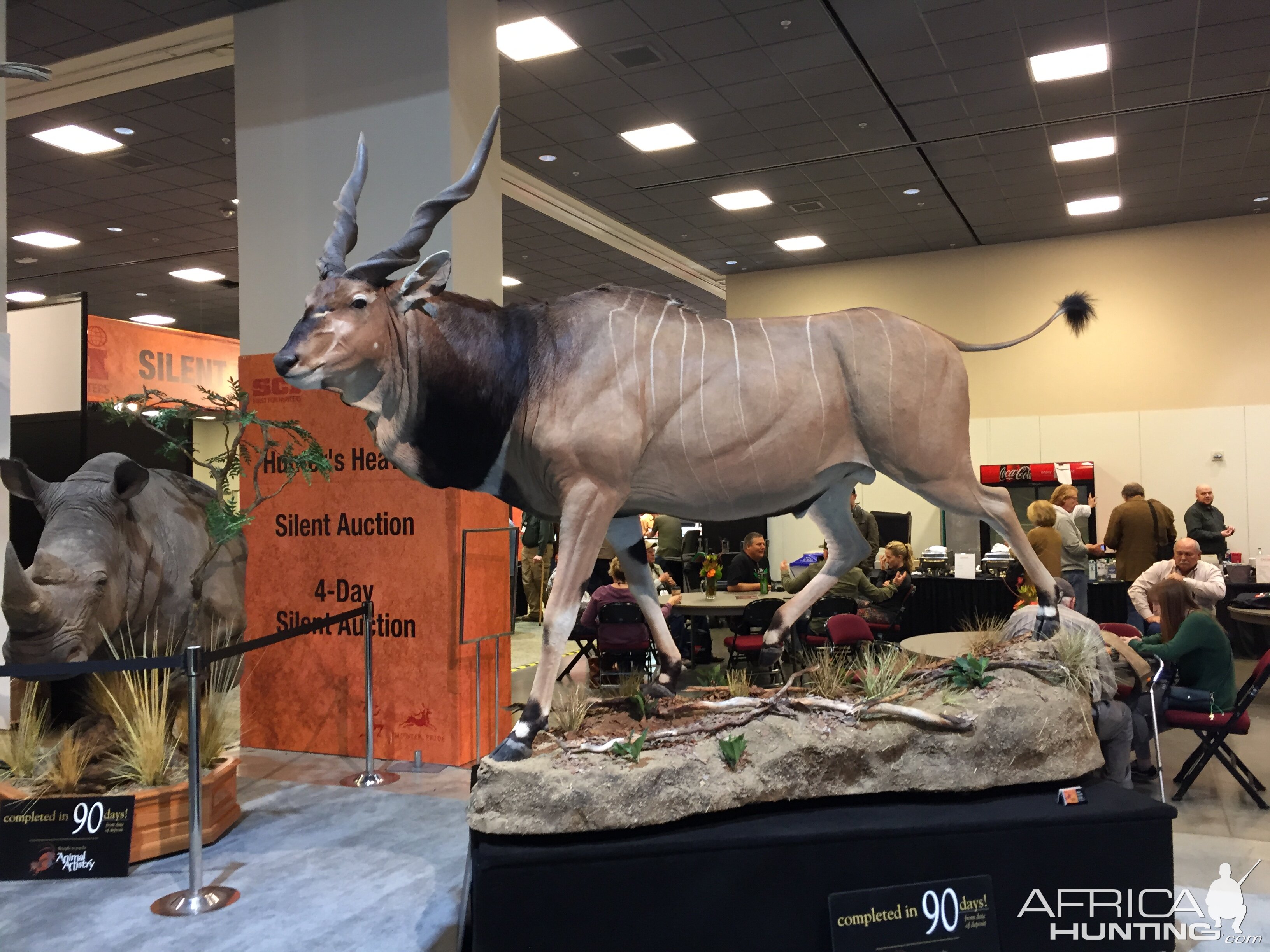 Derby Eland Full Mount Taxidermy