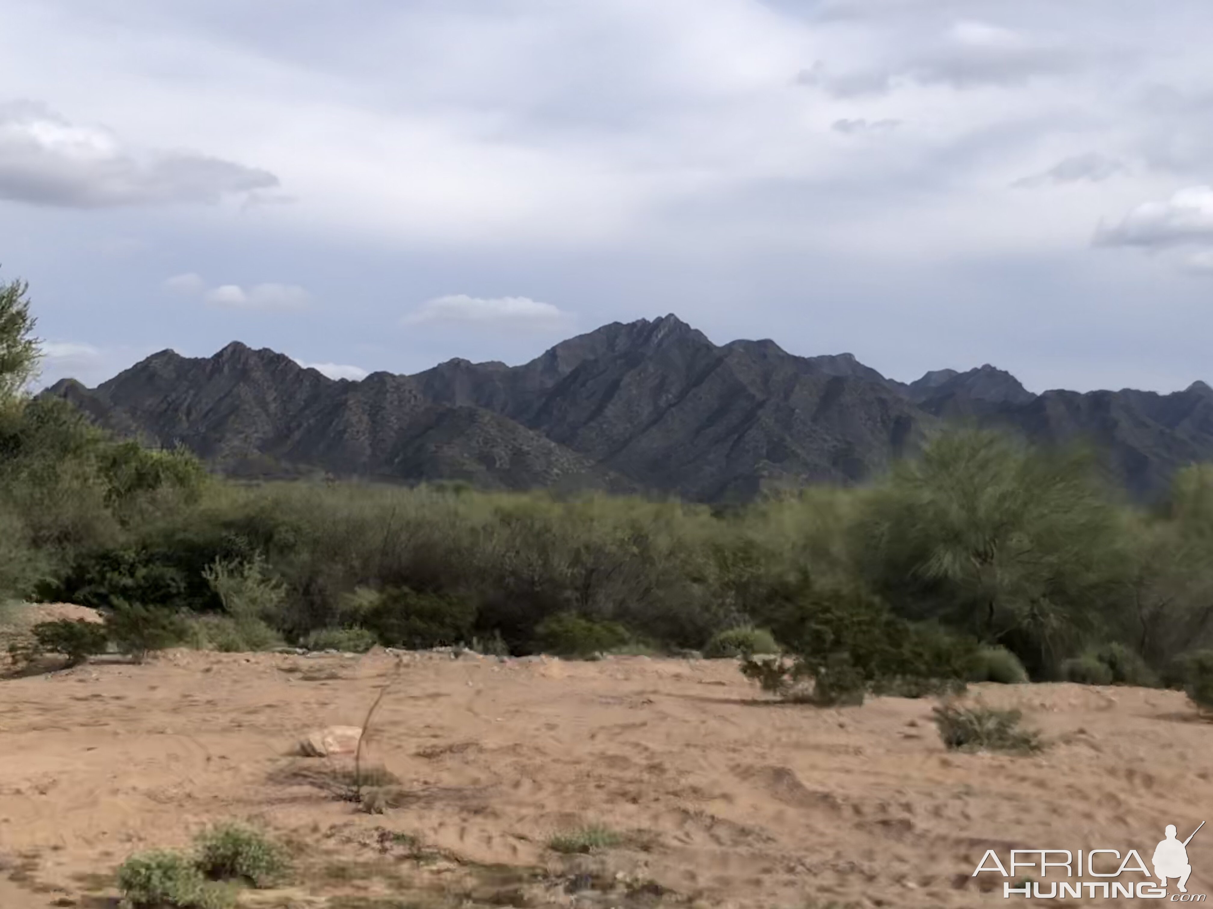 Desert Bighorn Hunt Mexico