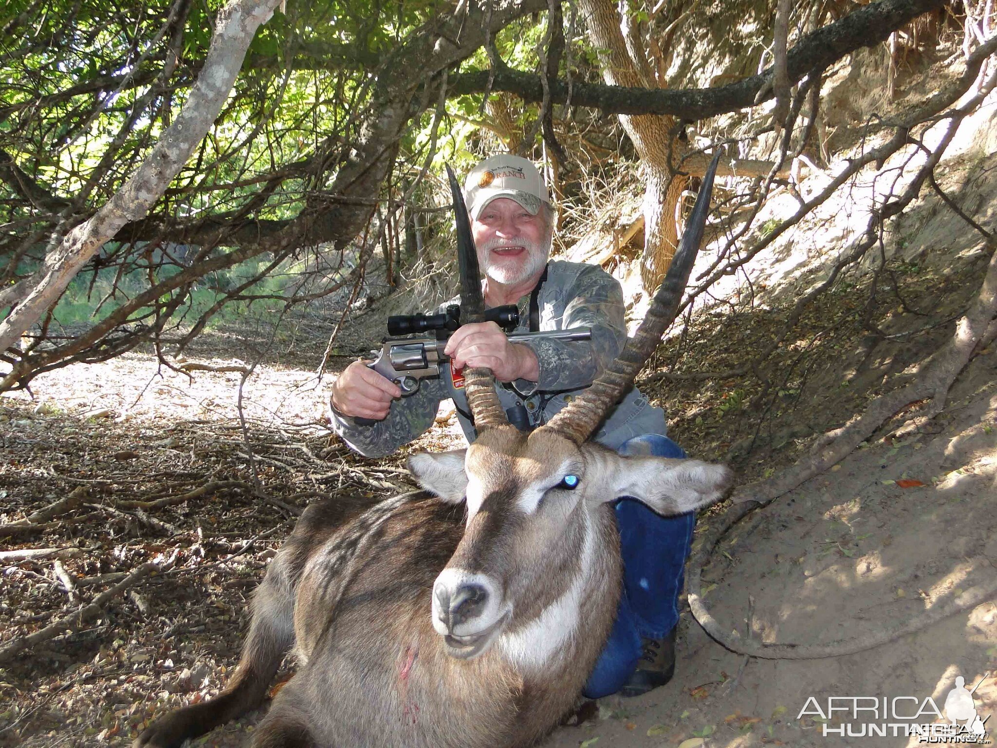 different pic of my african water buck