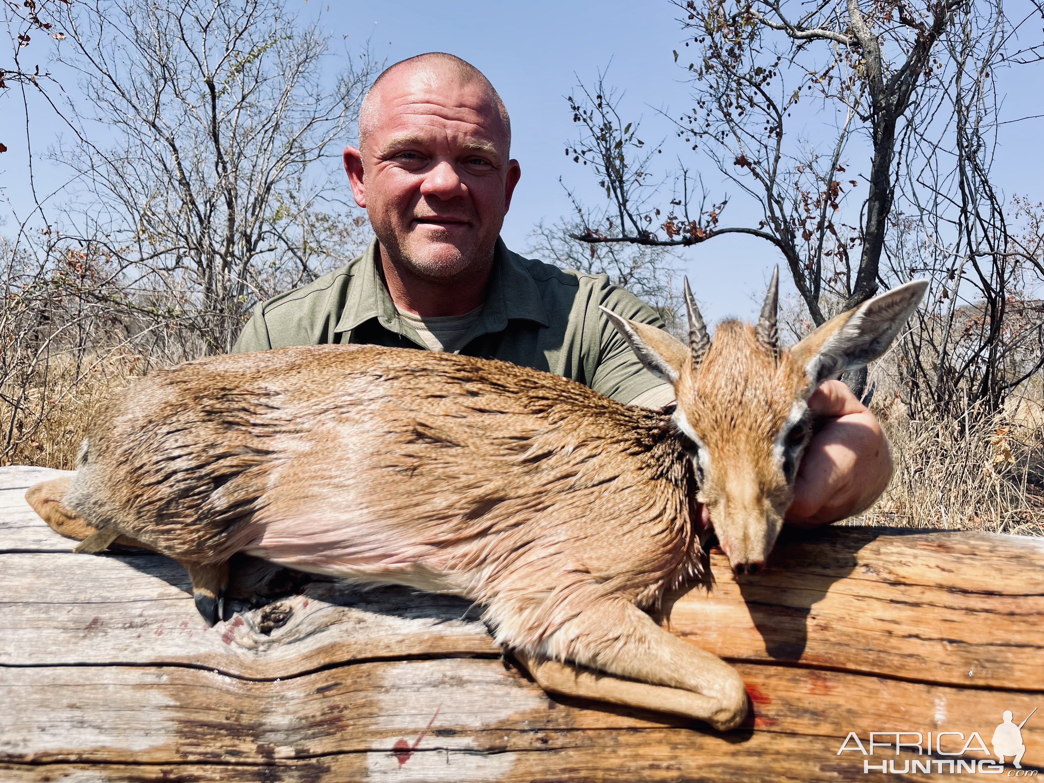 Dik Dik Hunt Tanzani