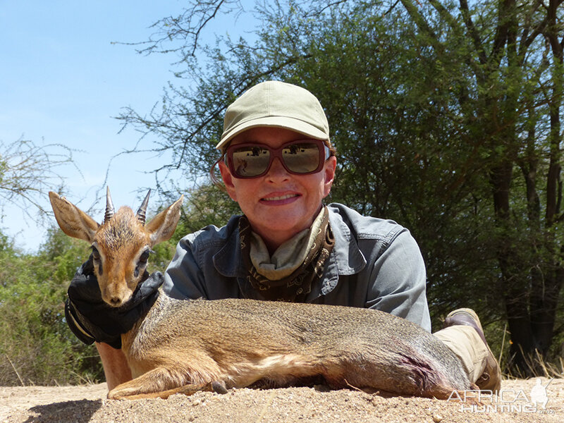 Dik Dik hunt with Wintershoek Johnny Vivier Safaris