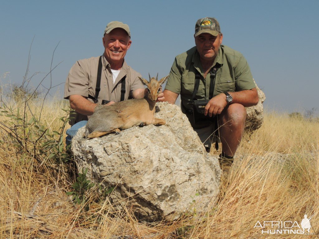 Dik-Dik Hunting Namibia