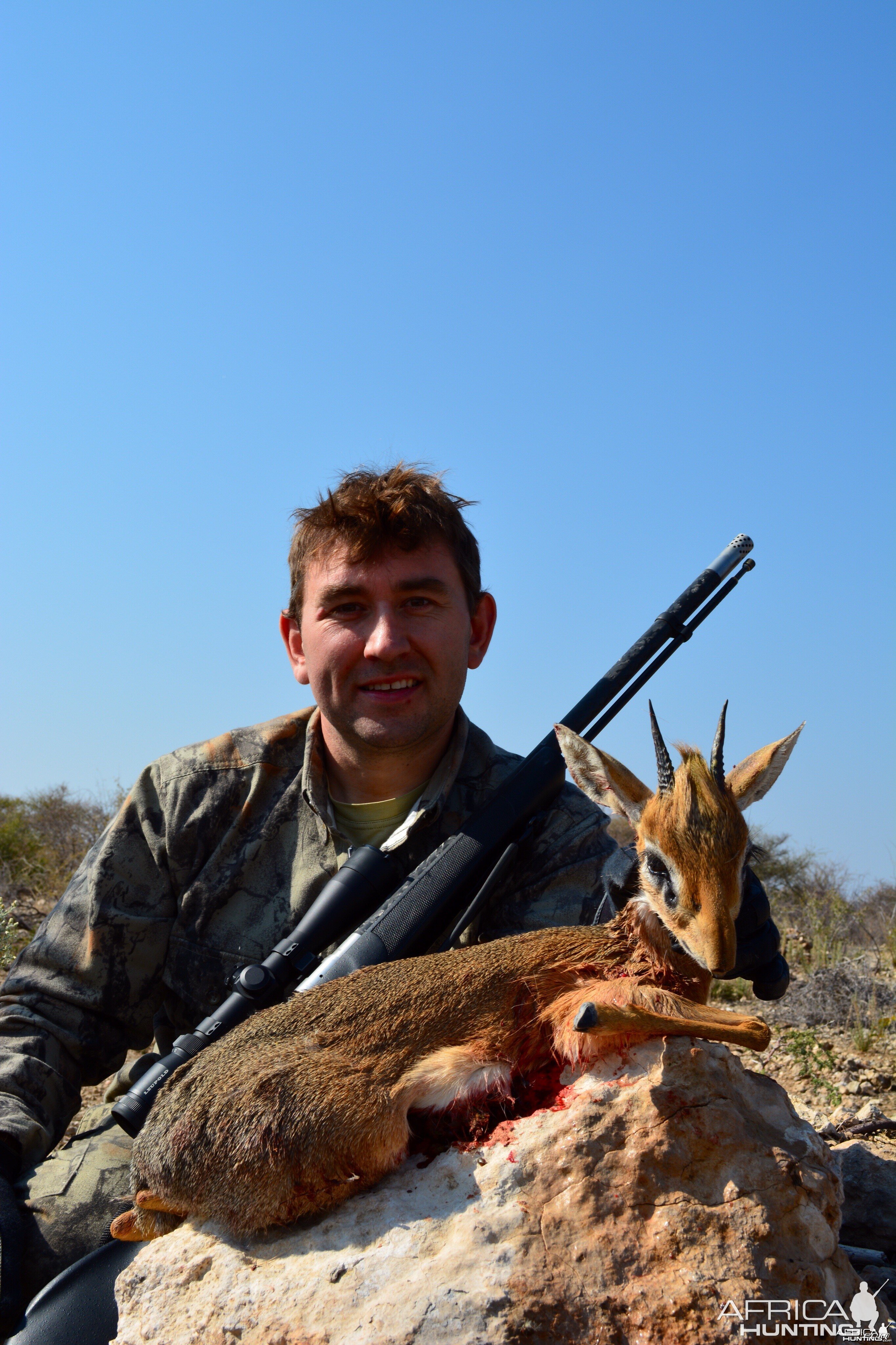 Dik dik Namibia