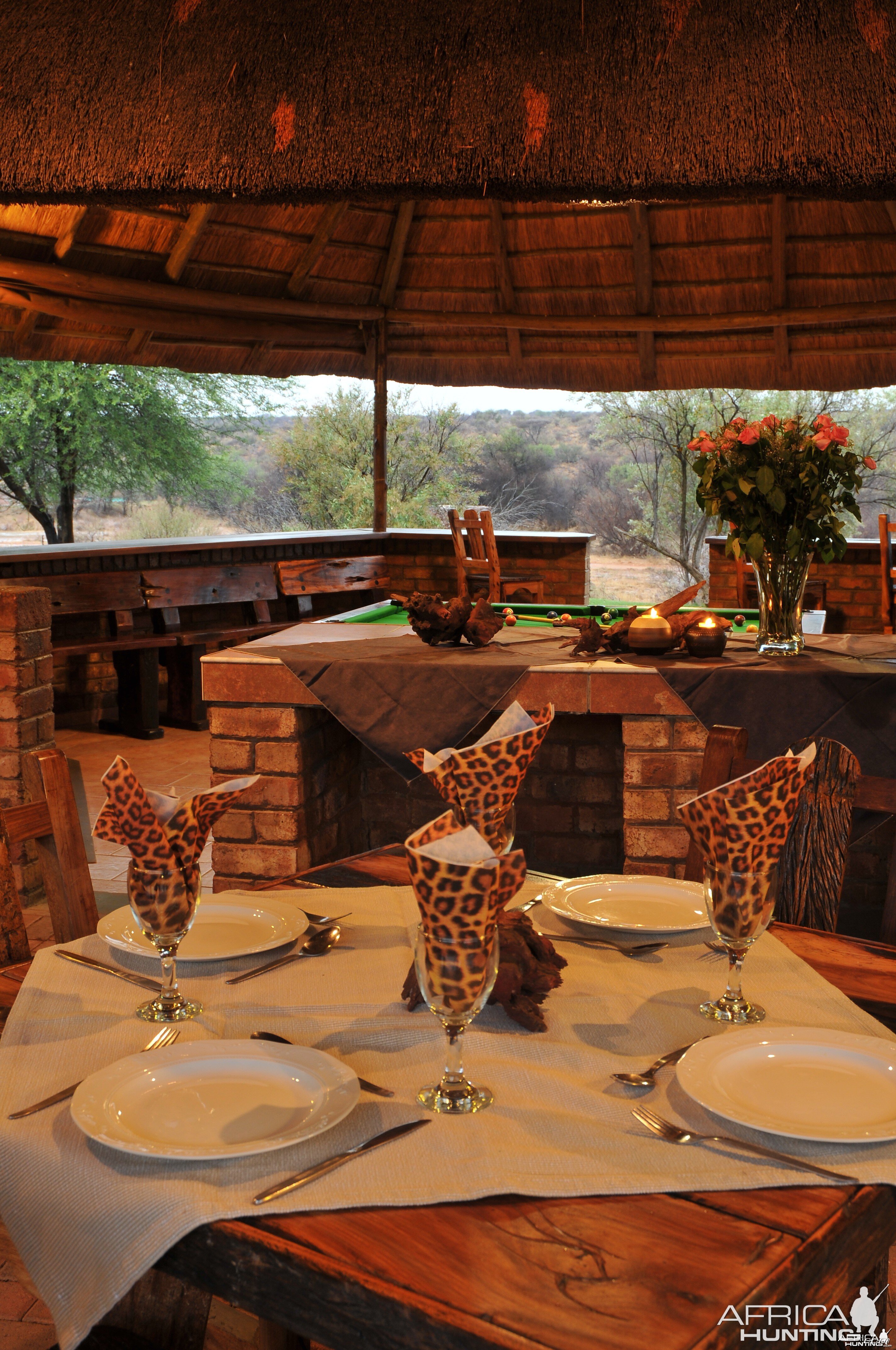 Dinner under the African Sky!