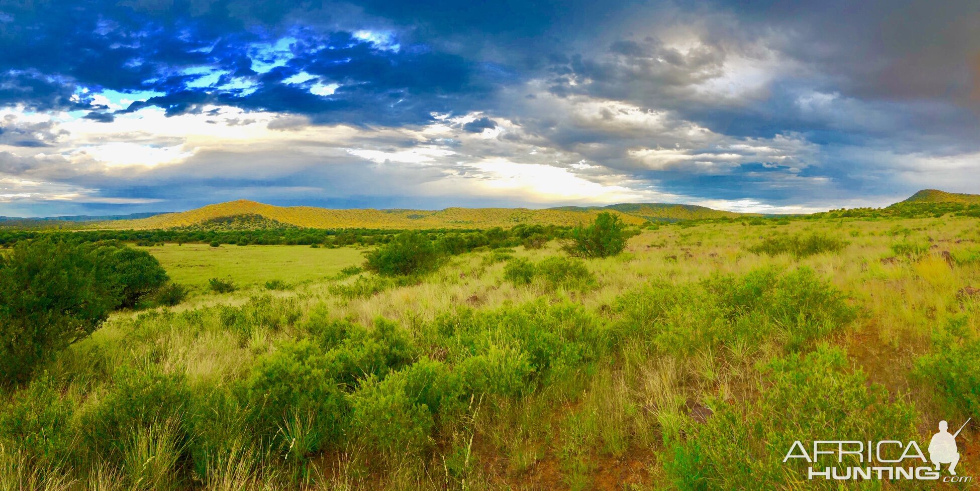 Diverse landscape offers for great spot and stalk hunting