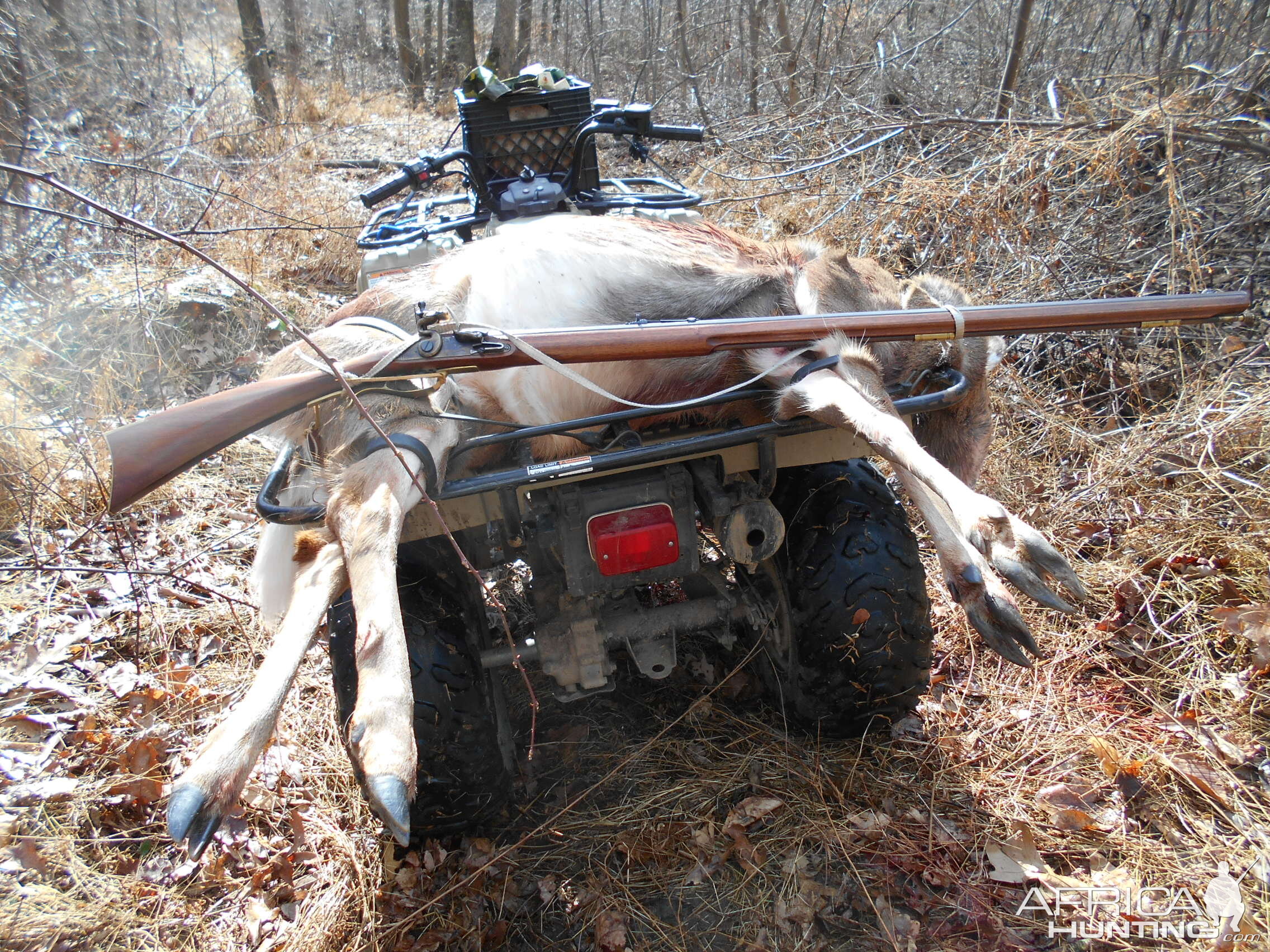 Doe Hunting