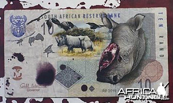 Dolfi Stoki  Rhino Poaching Painting