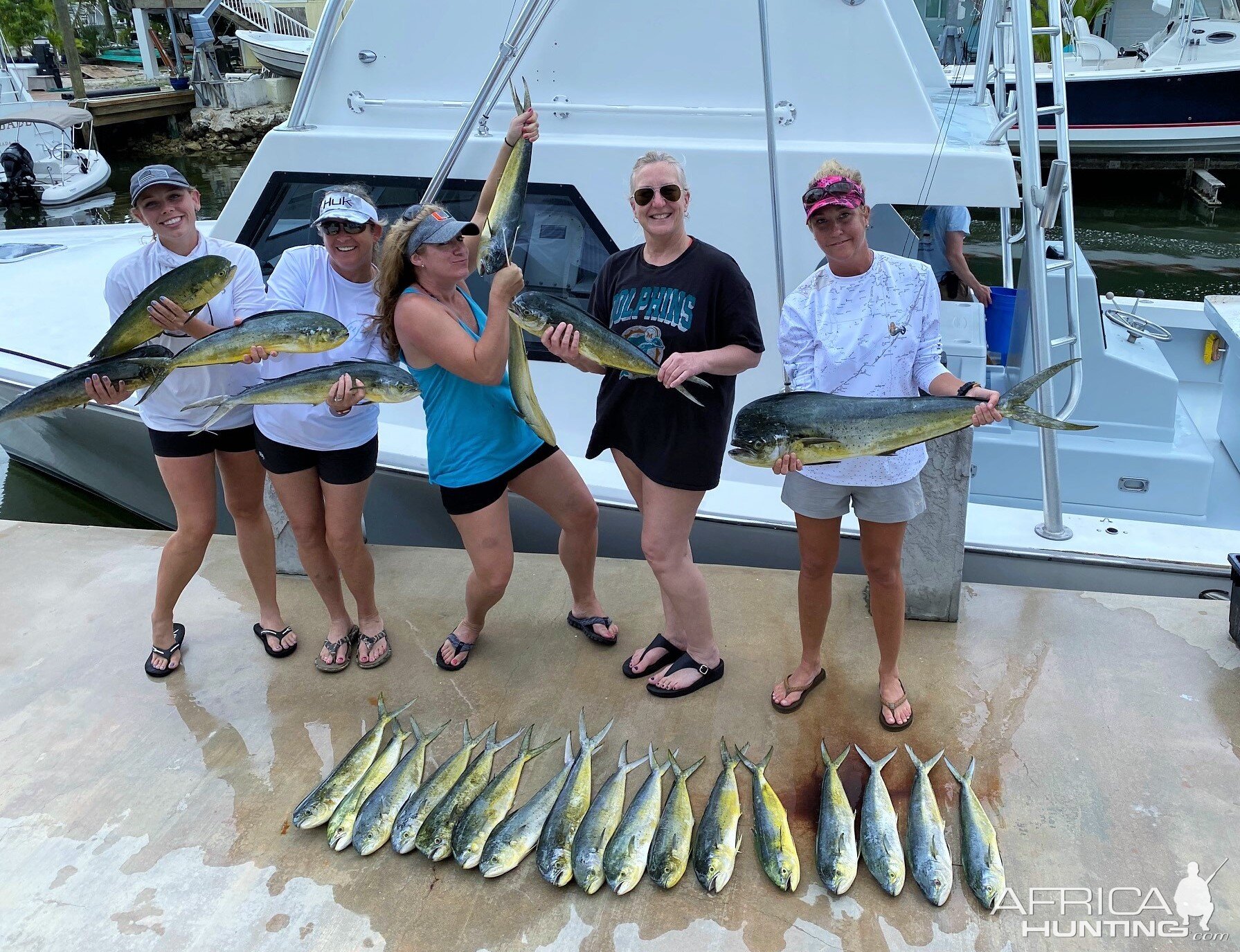 Dolphin Fishing Florida Keys USA