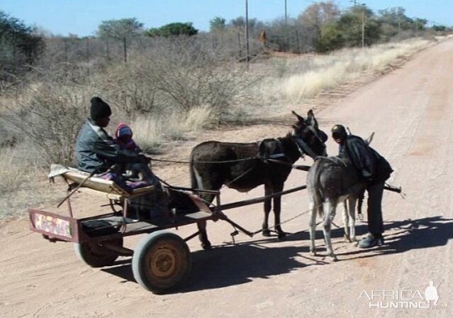 Donkey Cart