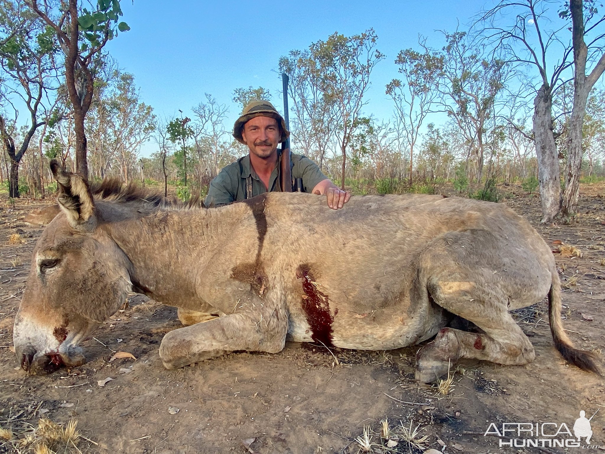 Donkey Hunt Northern Territory Australia