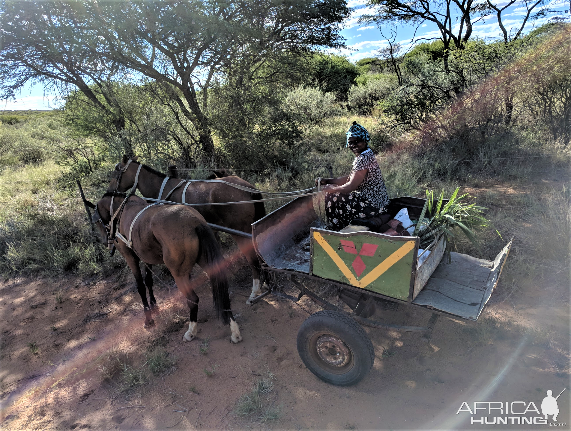 Donkey Wagon