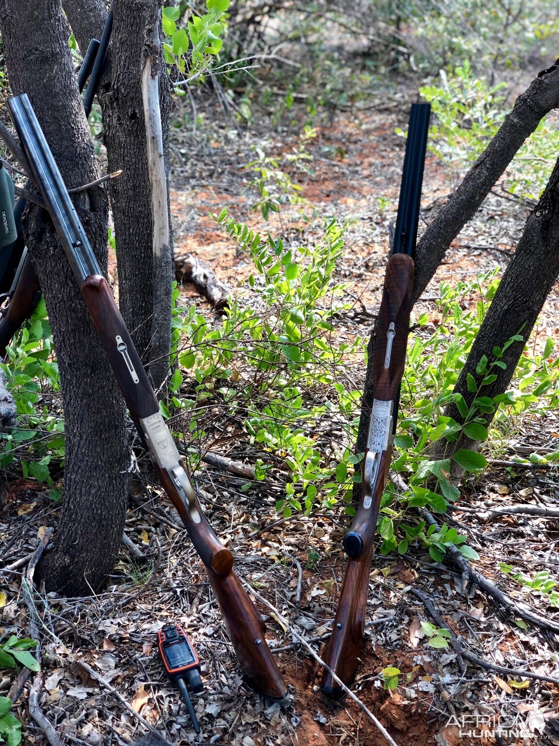 Double Rifles