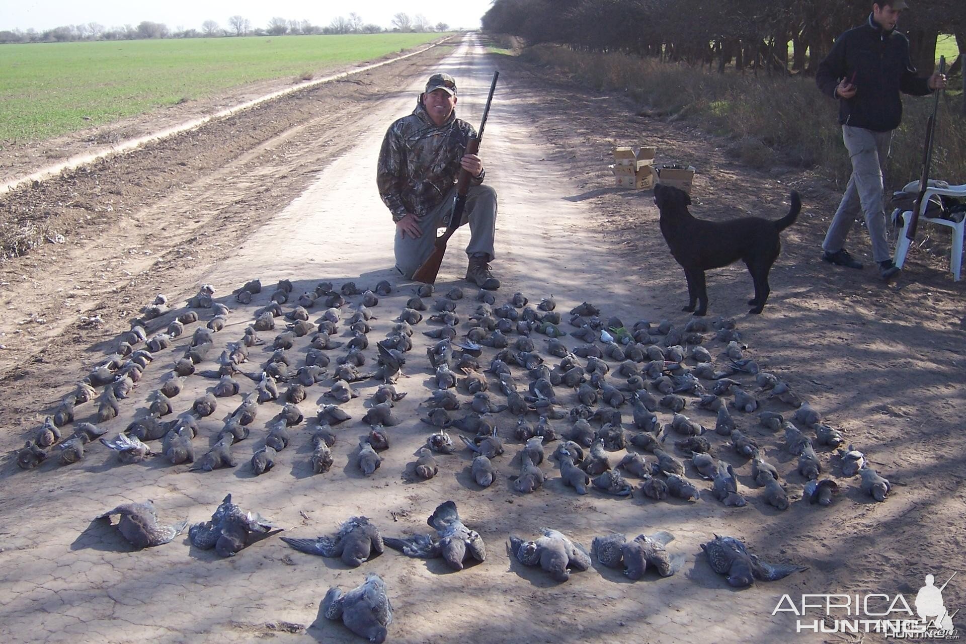 Dove Hunting Argentina