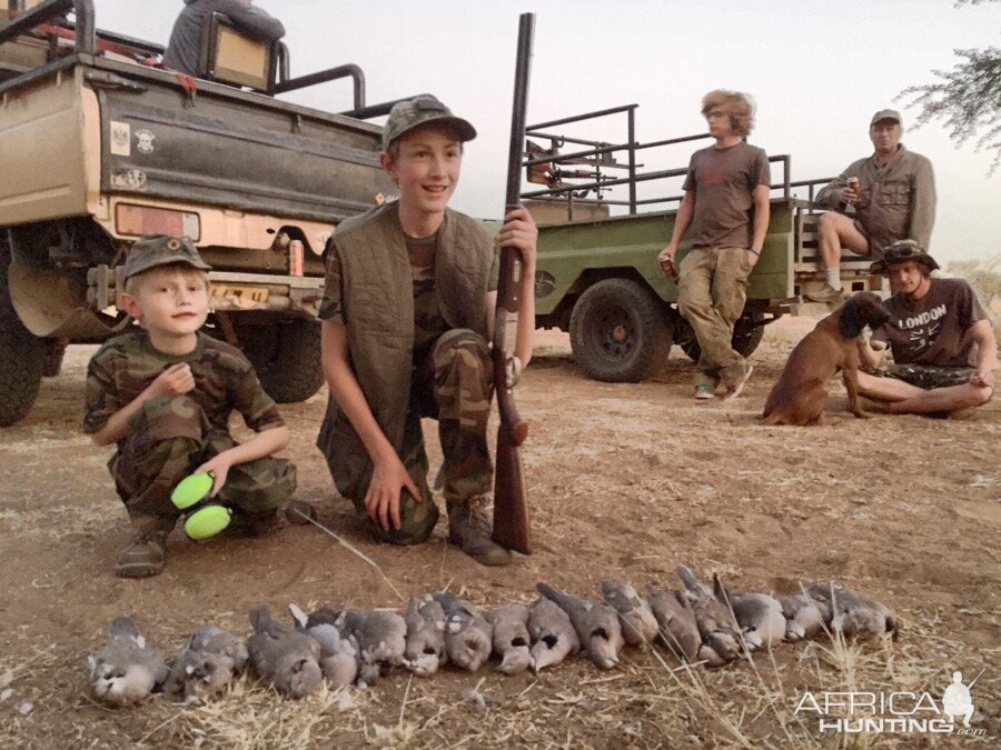 Dove Hunting Namibia