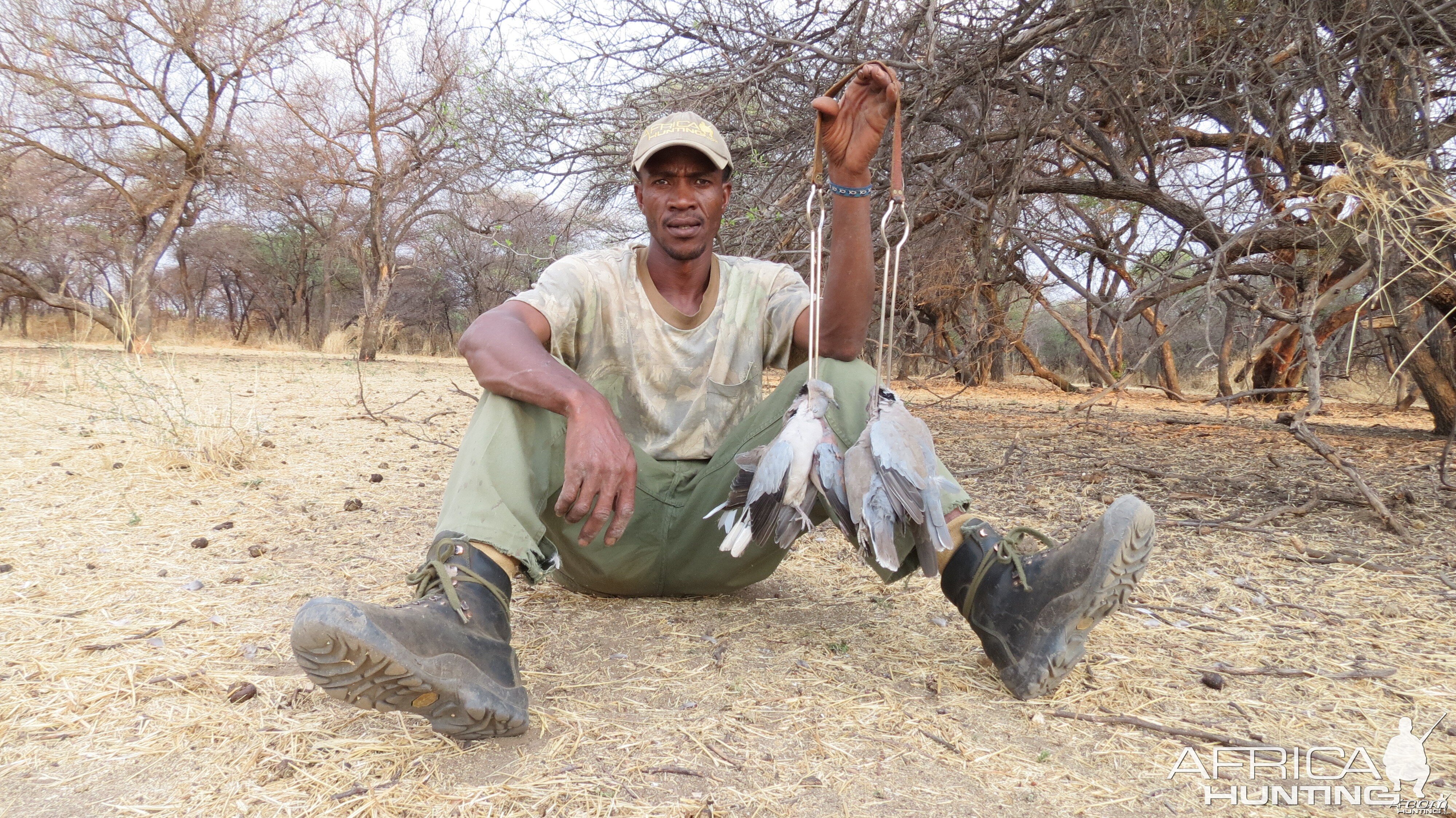 Dove Namibia