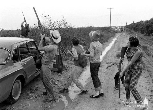 Dove Season in Texas