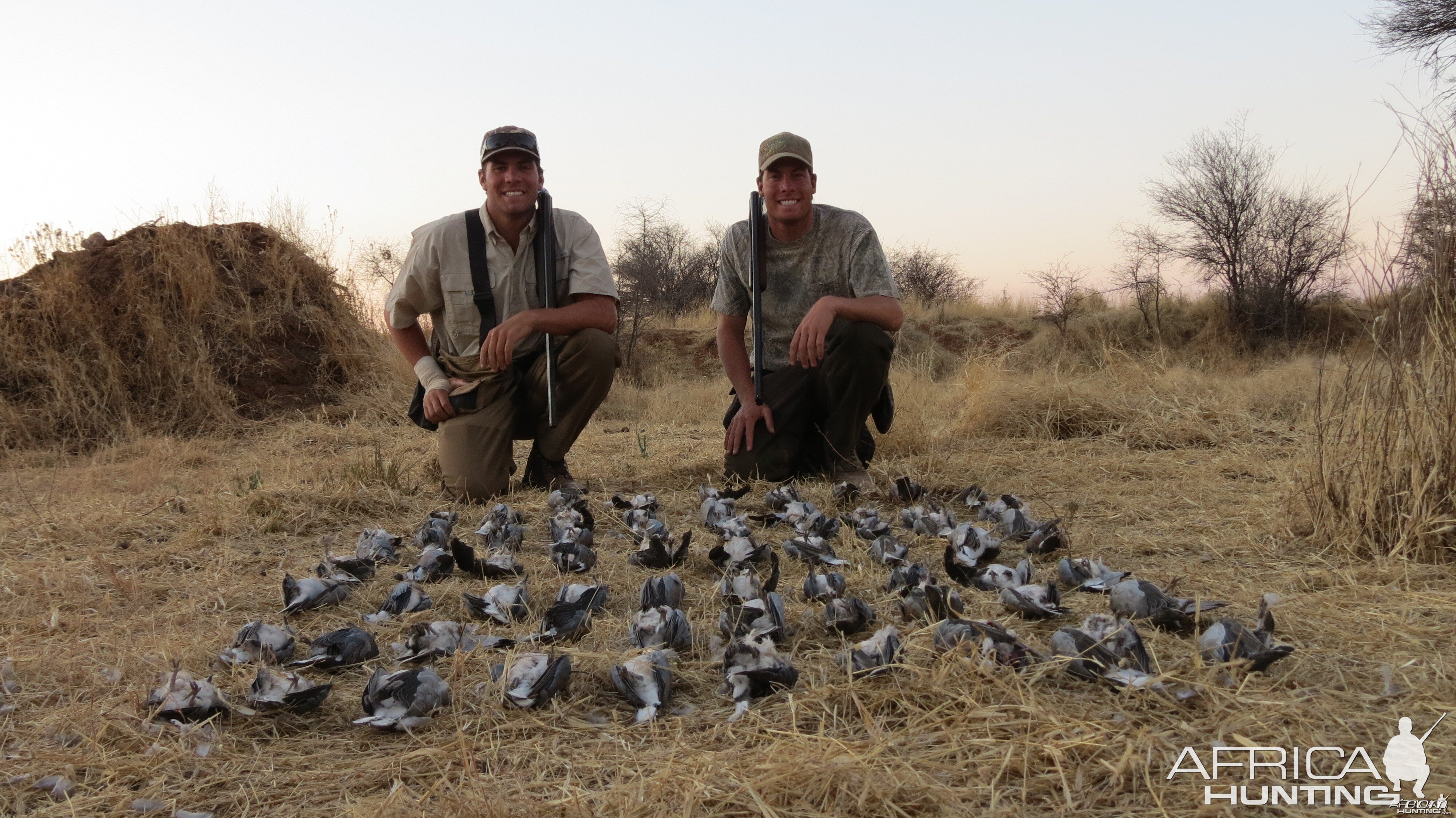 Doves hunted with Ozondjahe Hunting Safaris in Namibia