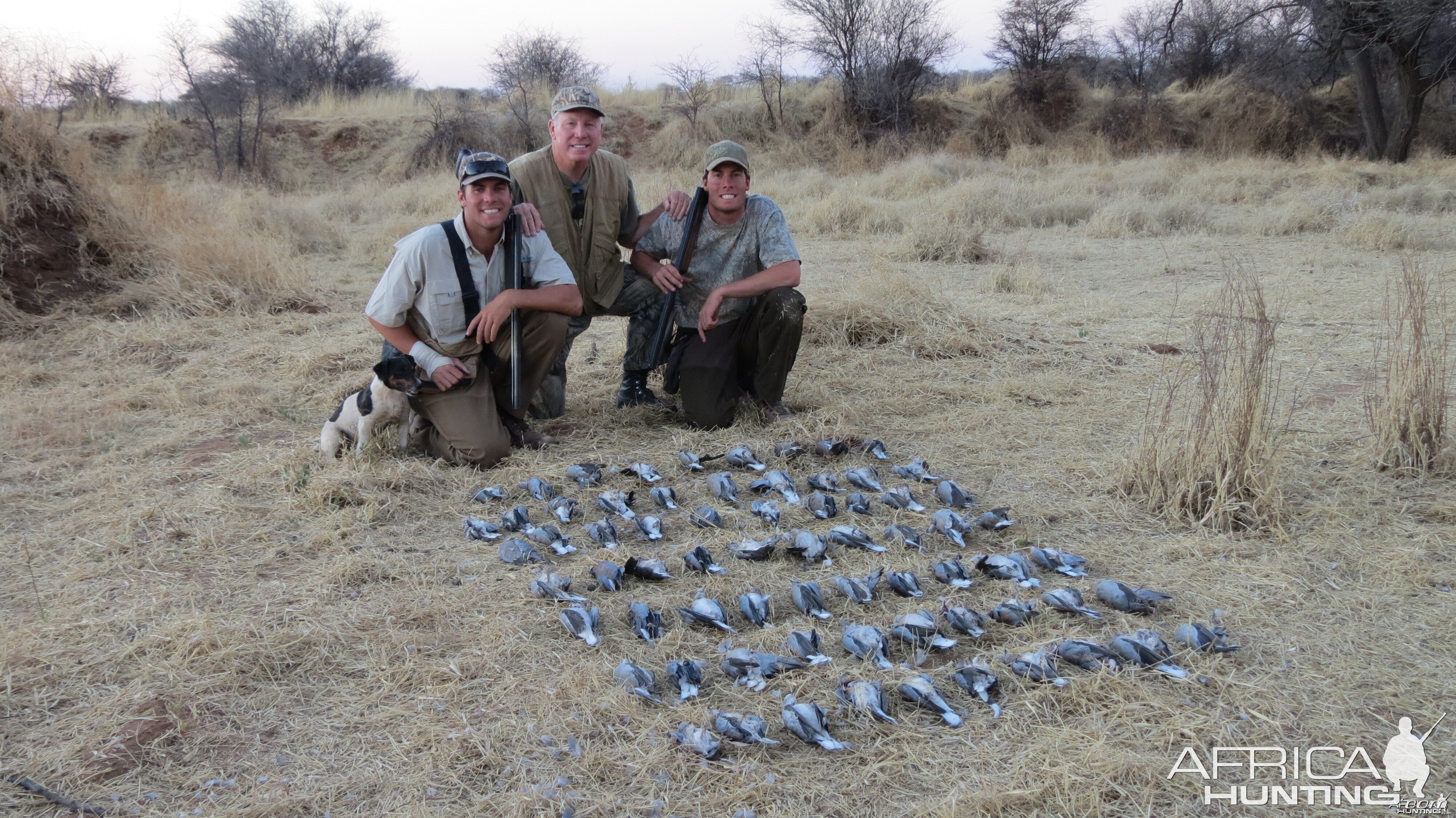 Doves hunted with Ozondjahe Hunting Safaris in Namibia